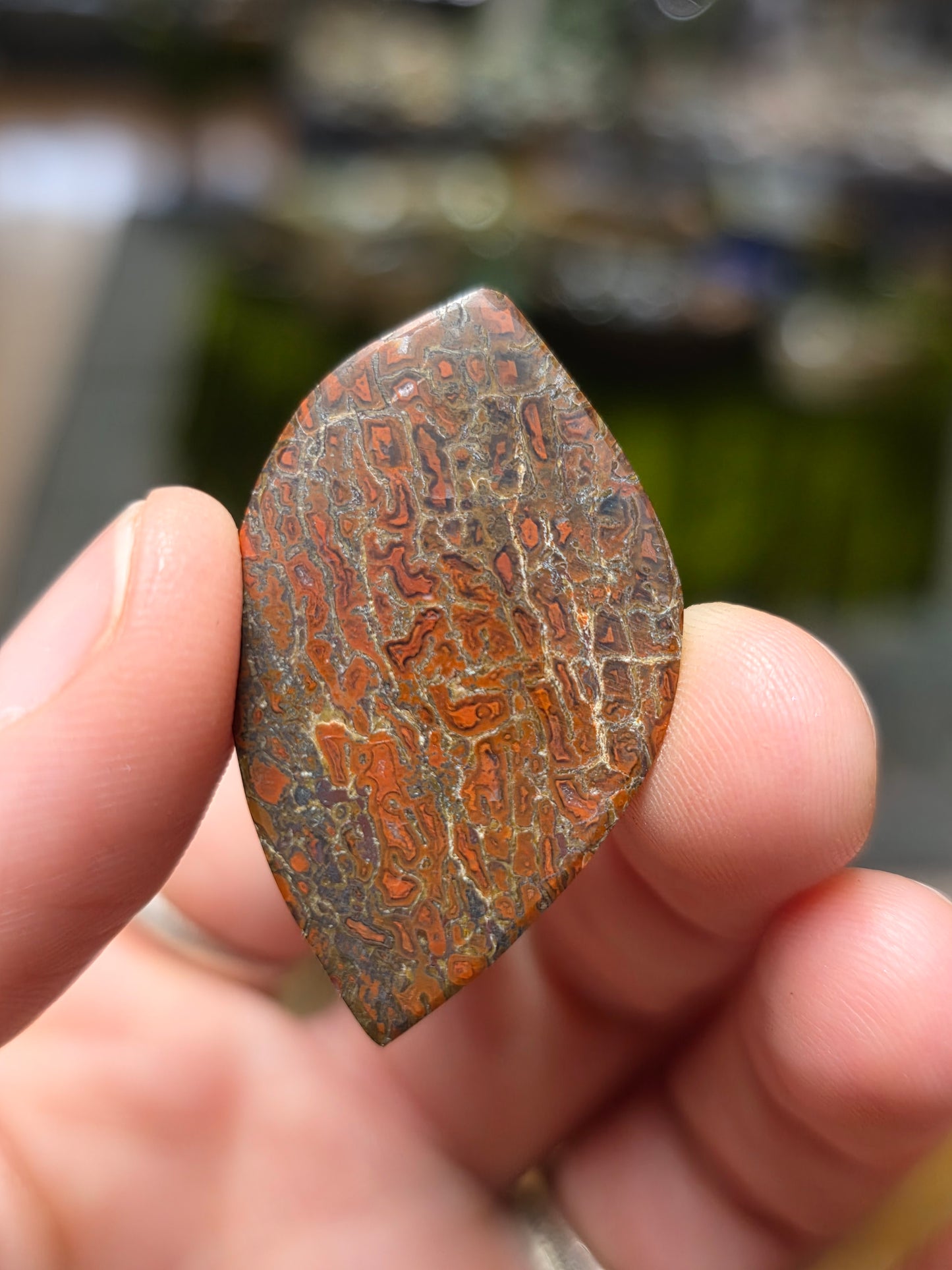 Genuine Dinosaur Gem Bone Cabochon