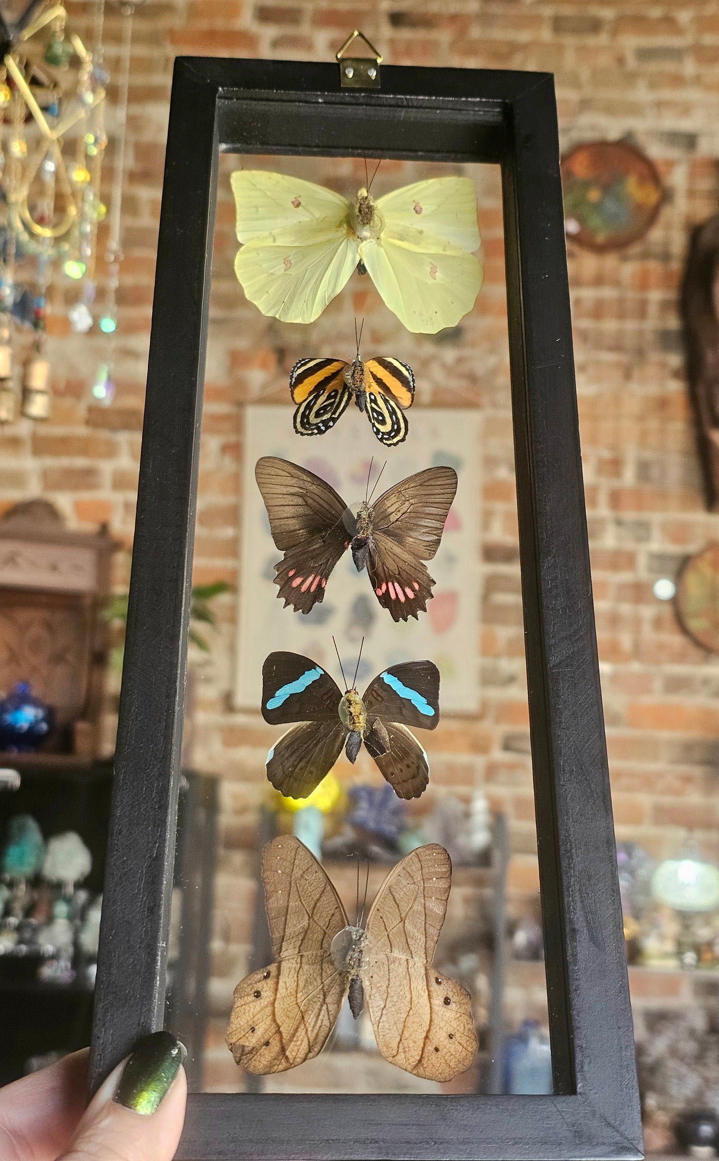 Framed Butterfly Variety