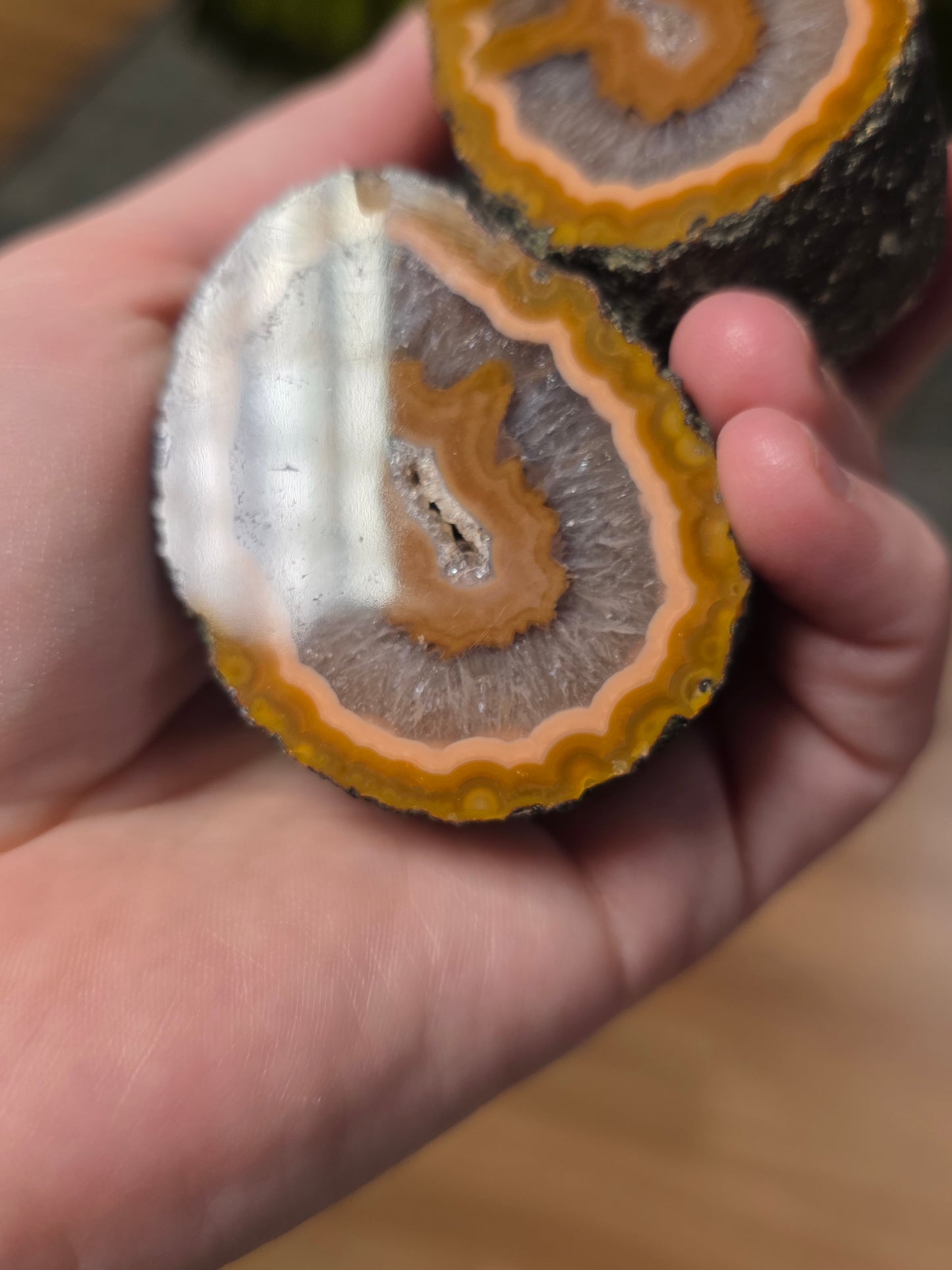 Fighting Blood Agate