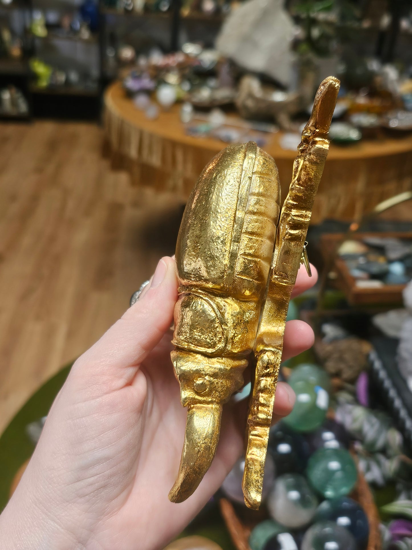 Golden Stag Beetle Wall Decor
