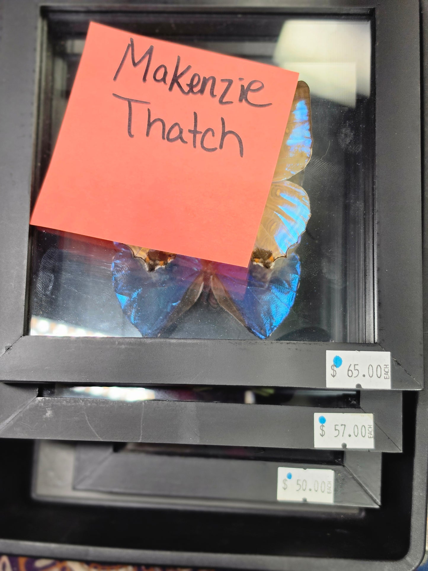 Mackenzie 8/22