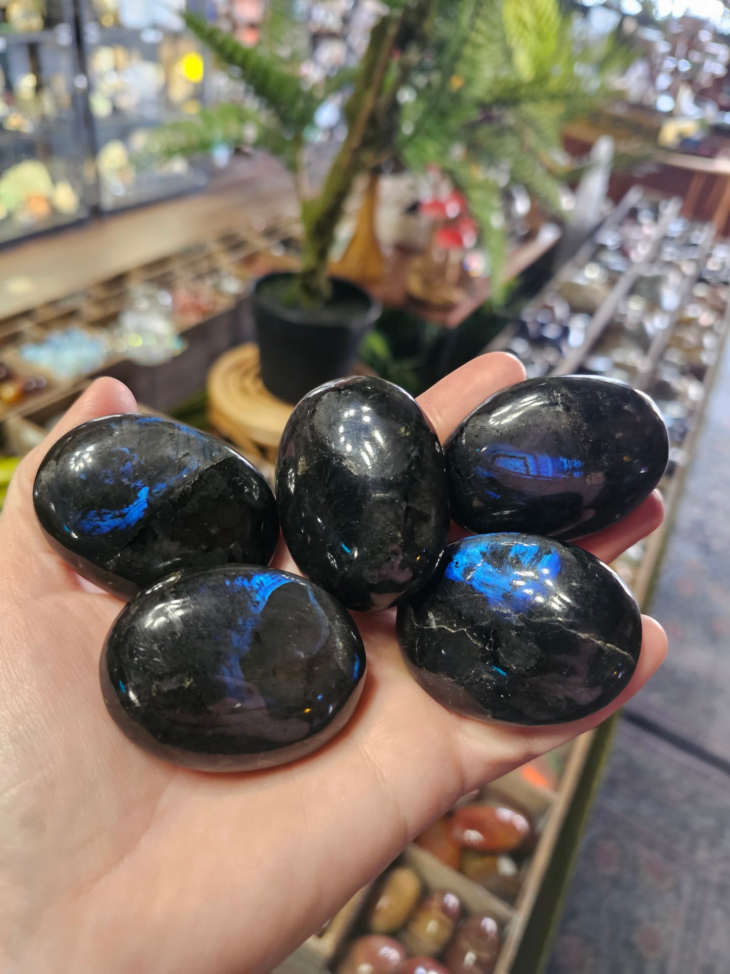 Blue Flash Larvikite Palm Stone