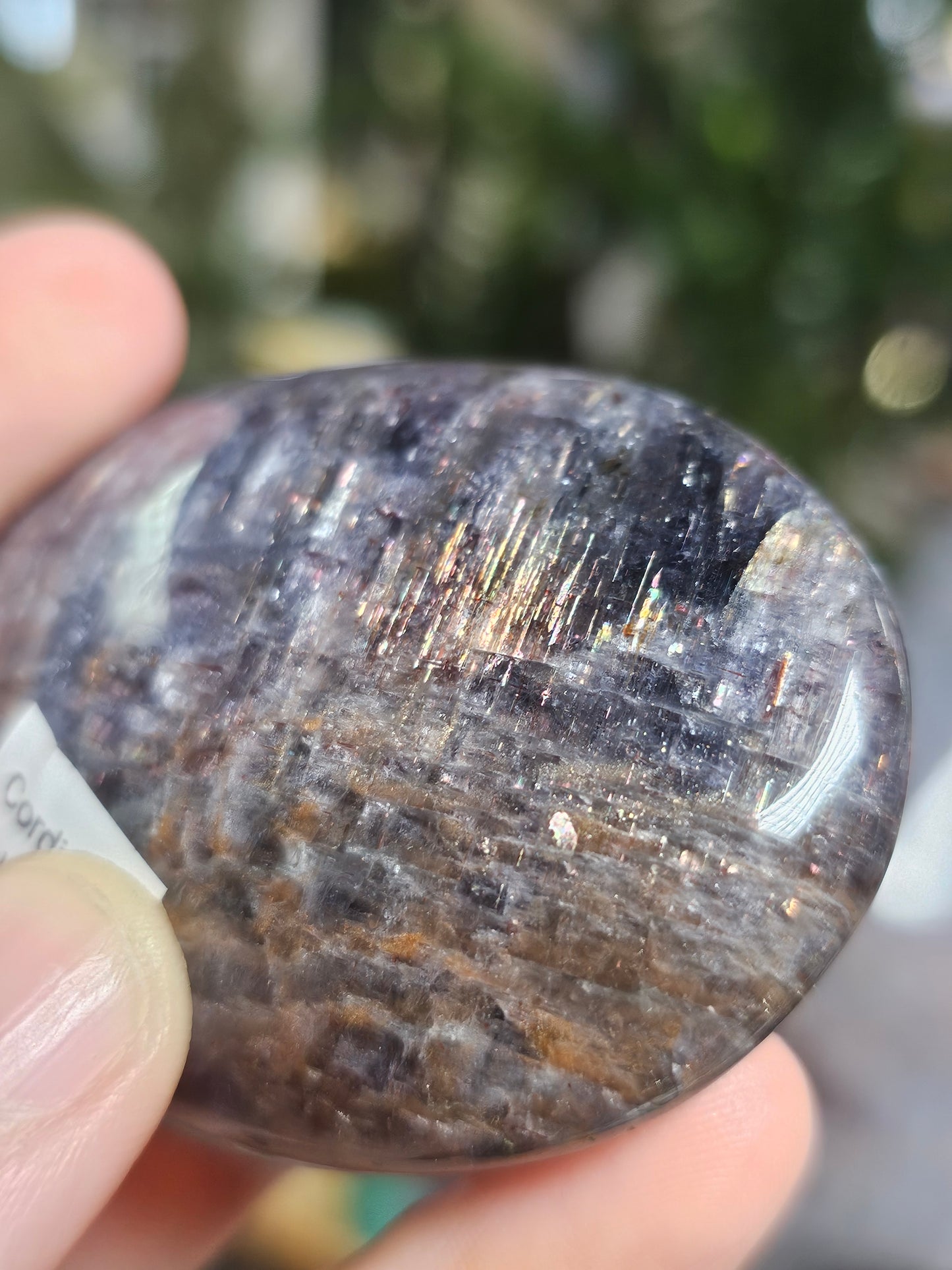 Cordierite Palmstone (lolite)