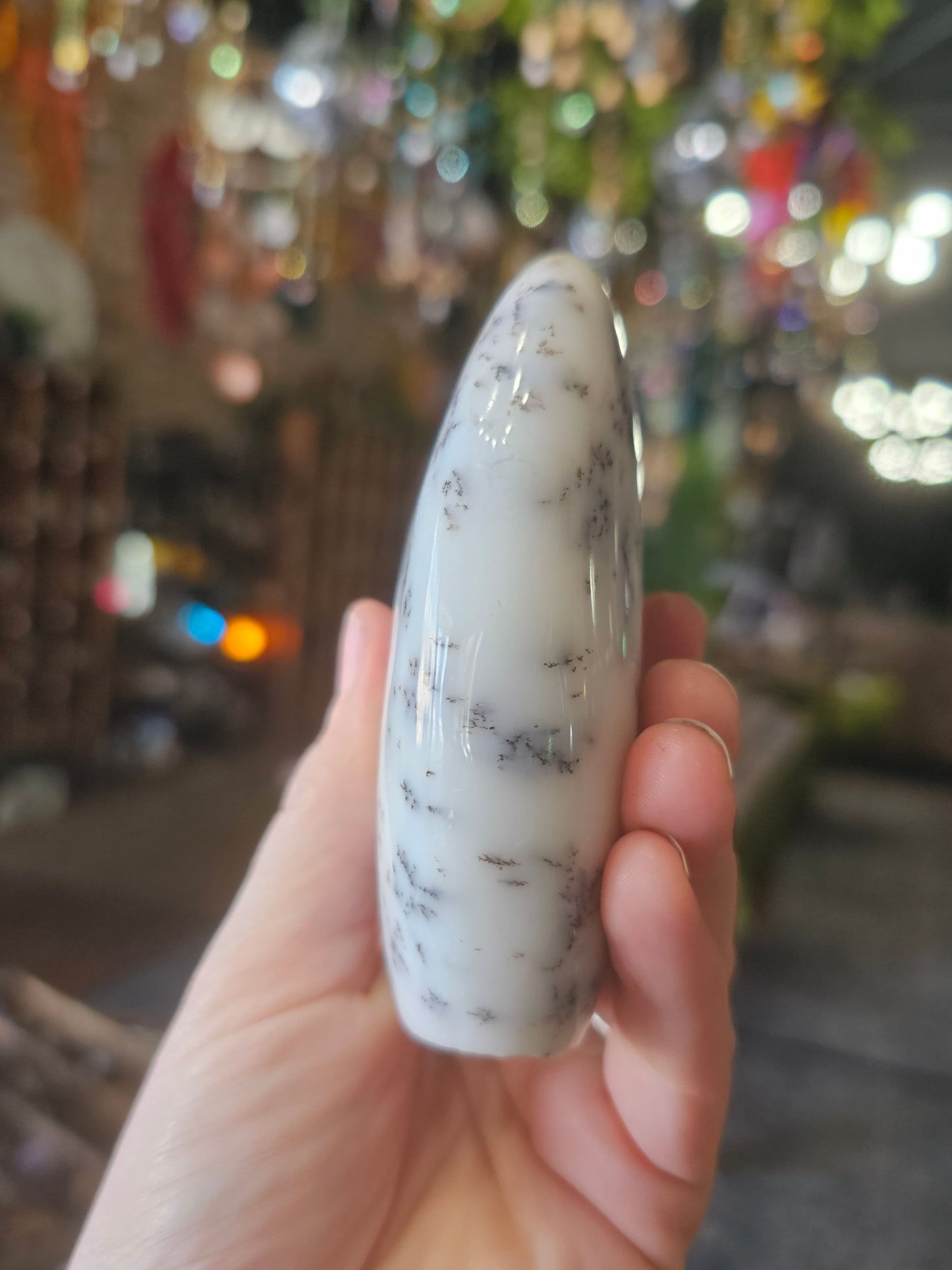 Dendritic Common Opal Freeform