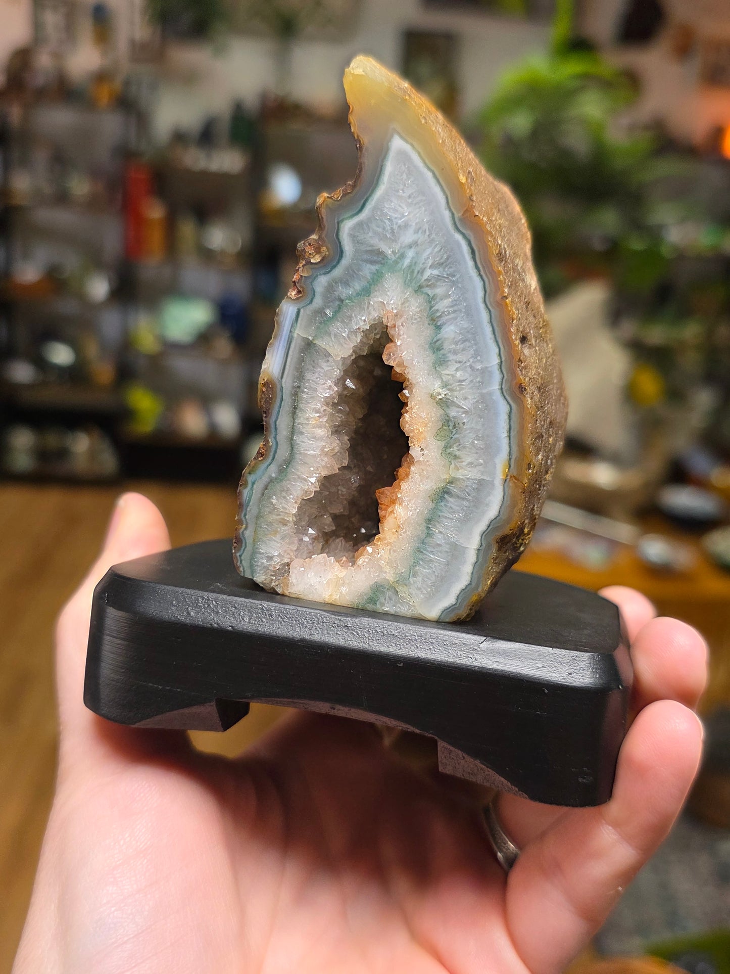 Agate Halve  on Wooden Stand