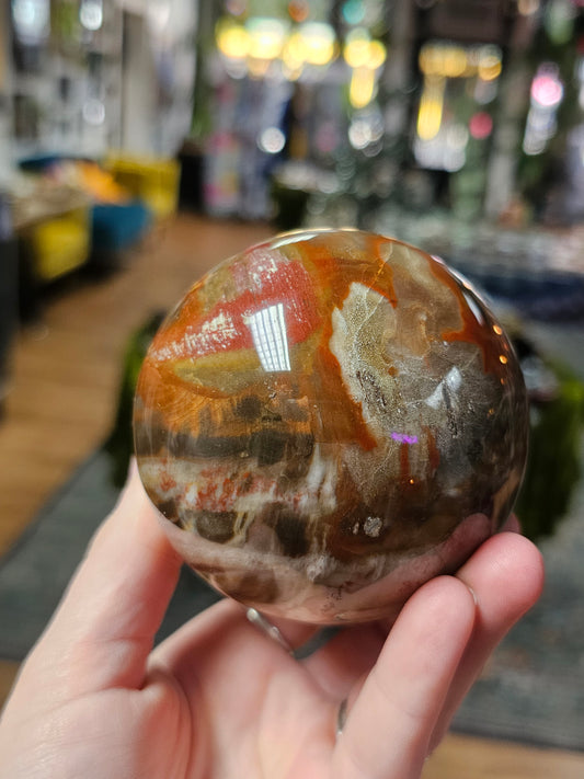 Petrified Wood Sphere