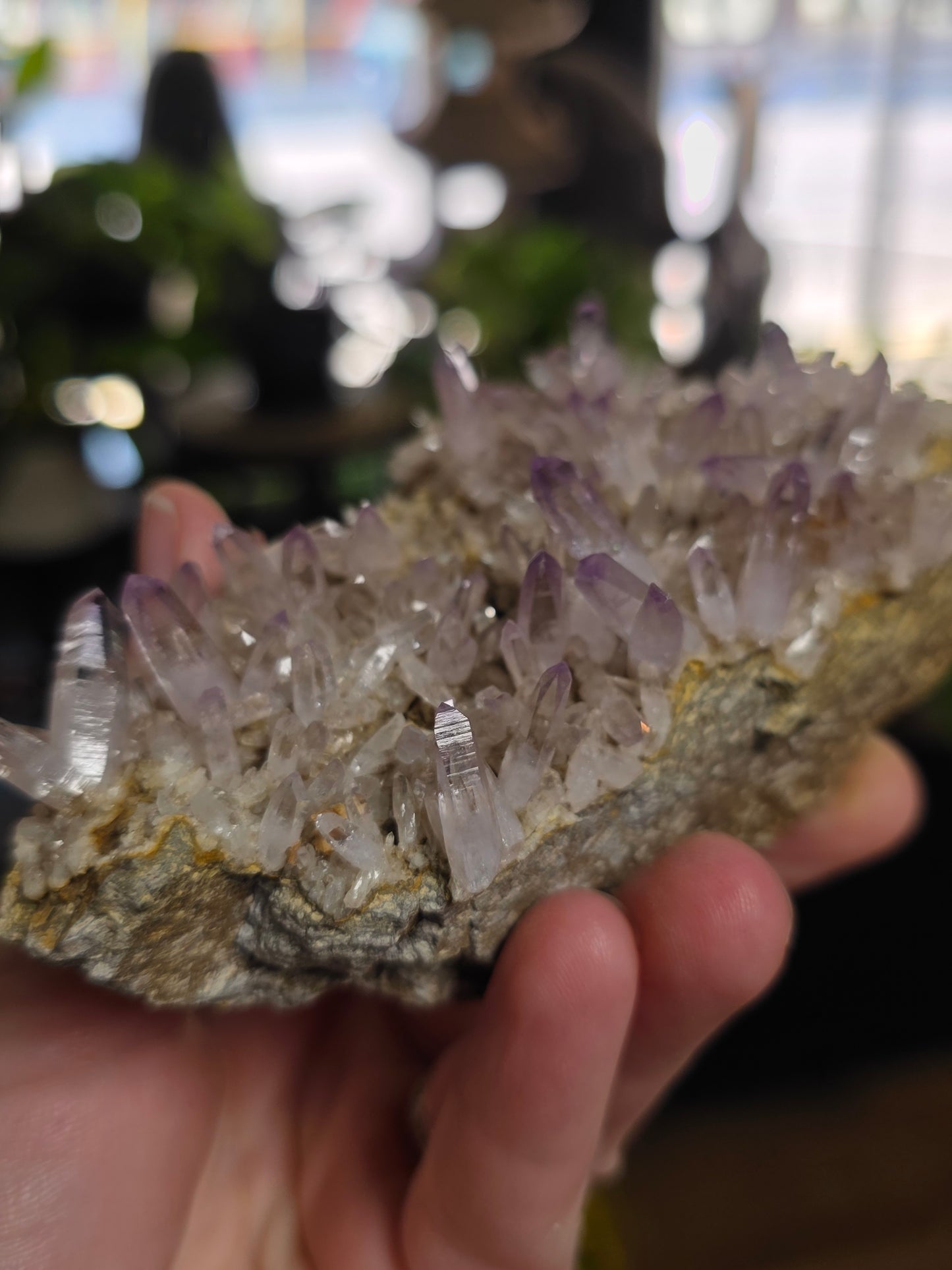 Vera Cruz Amethyst Cluster