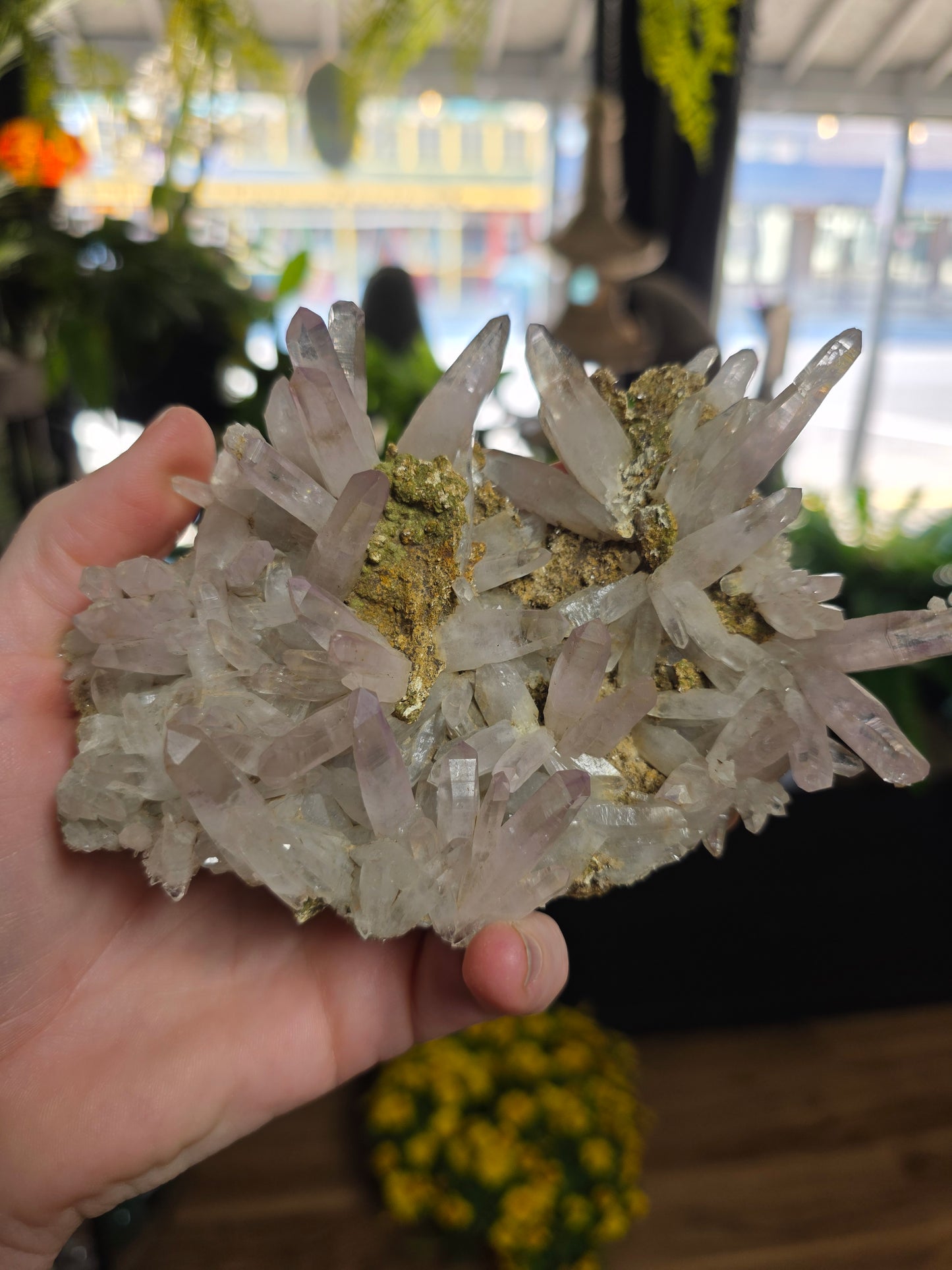 Vera Cruz Amethyst Specimen