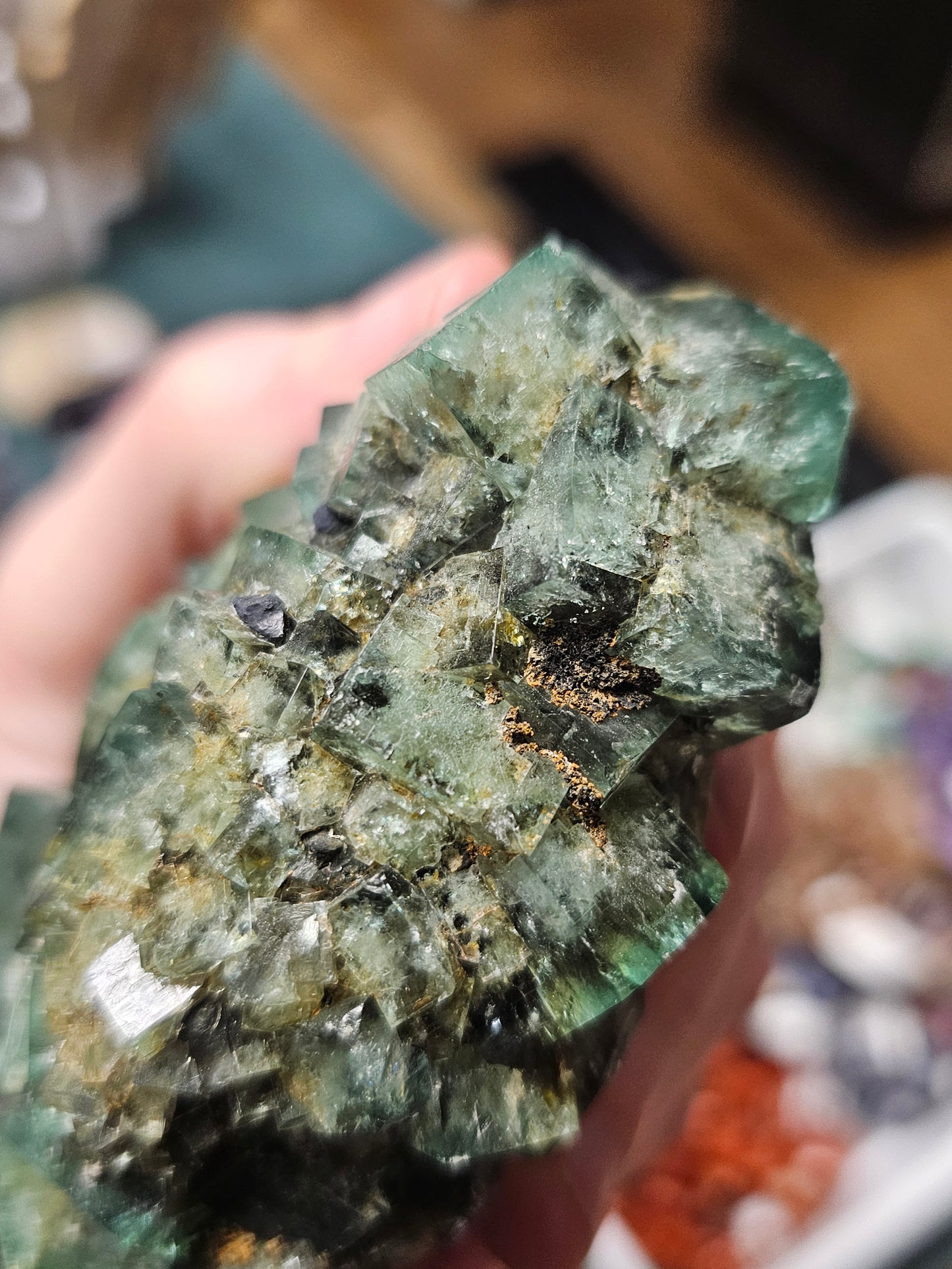 Diana Maria Fluorite ( Hidden Forest Pocket)