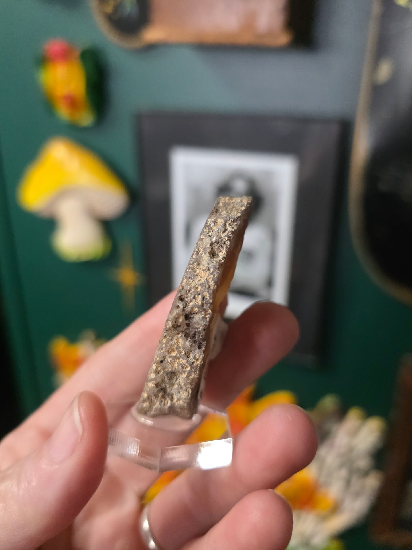 Coyamito Agate Slab