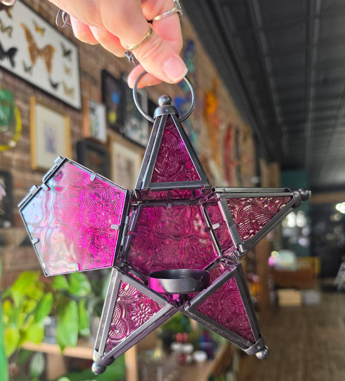 Pink Star Lantern