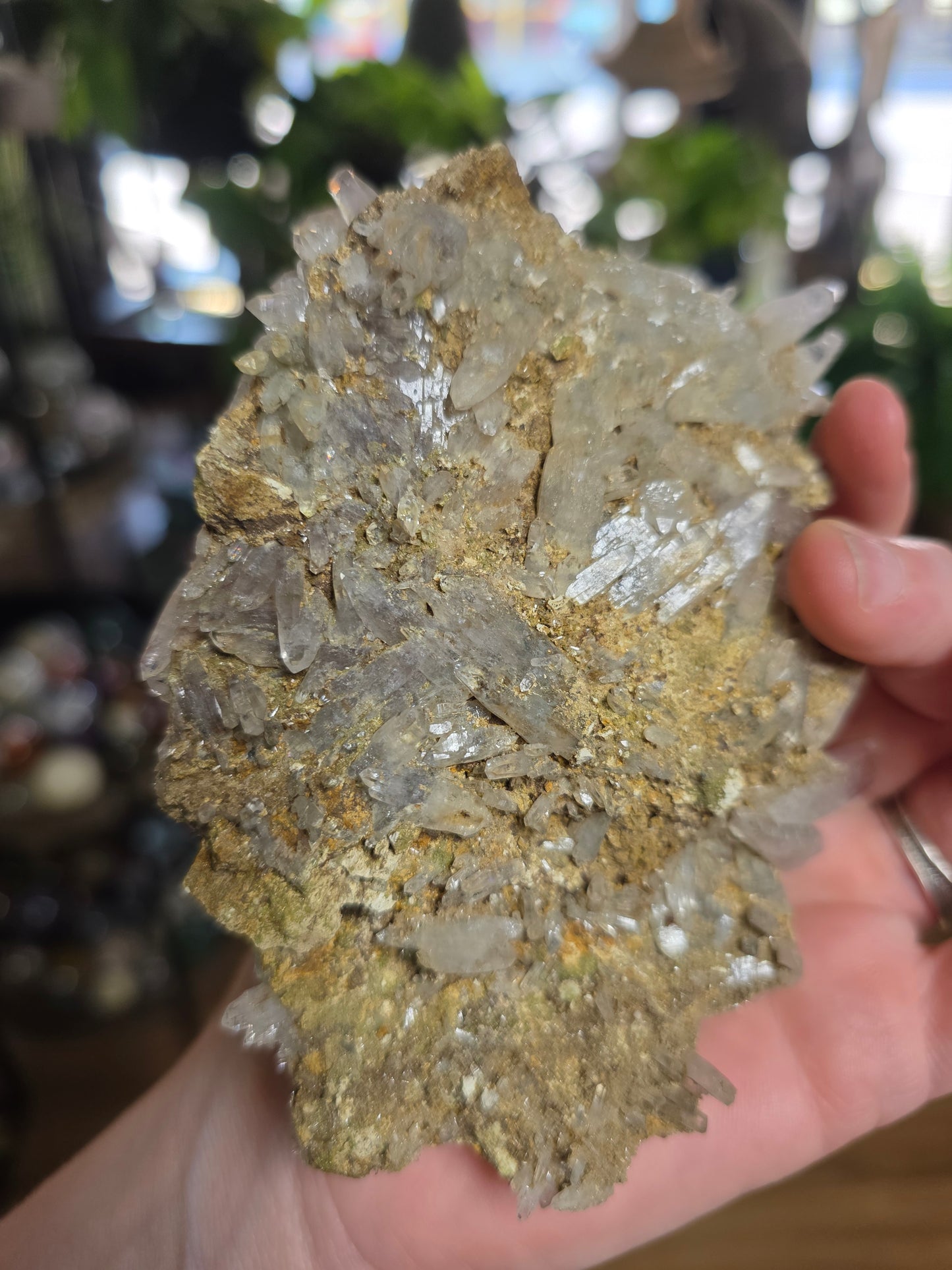 Vera Cruz Amethyst Specimen