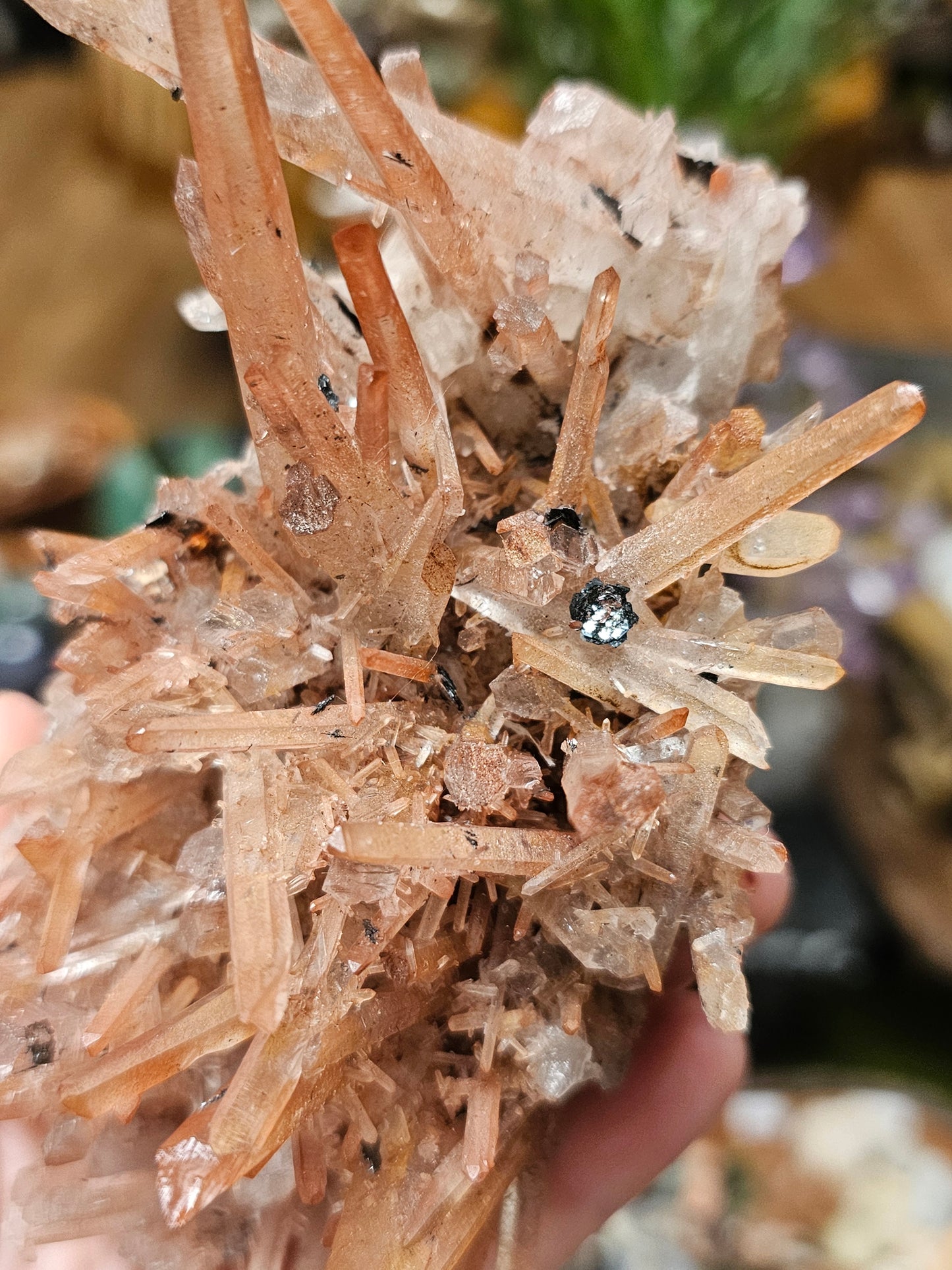 Specular Hematite on Quartz