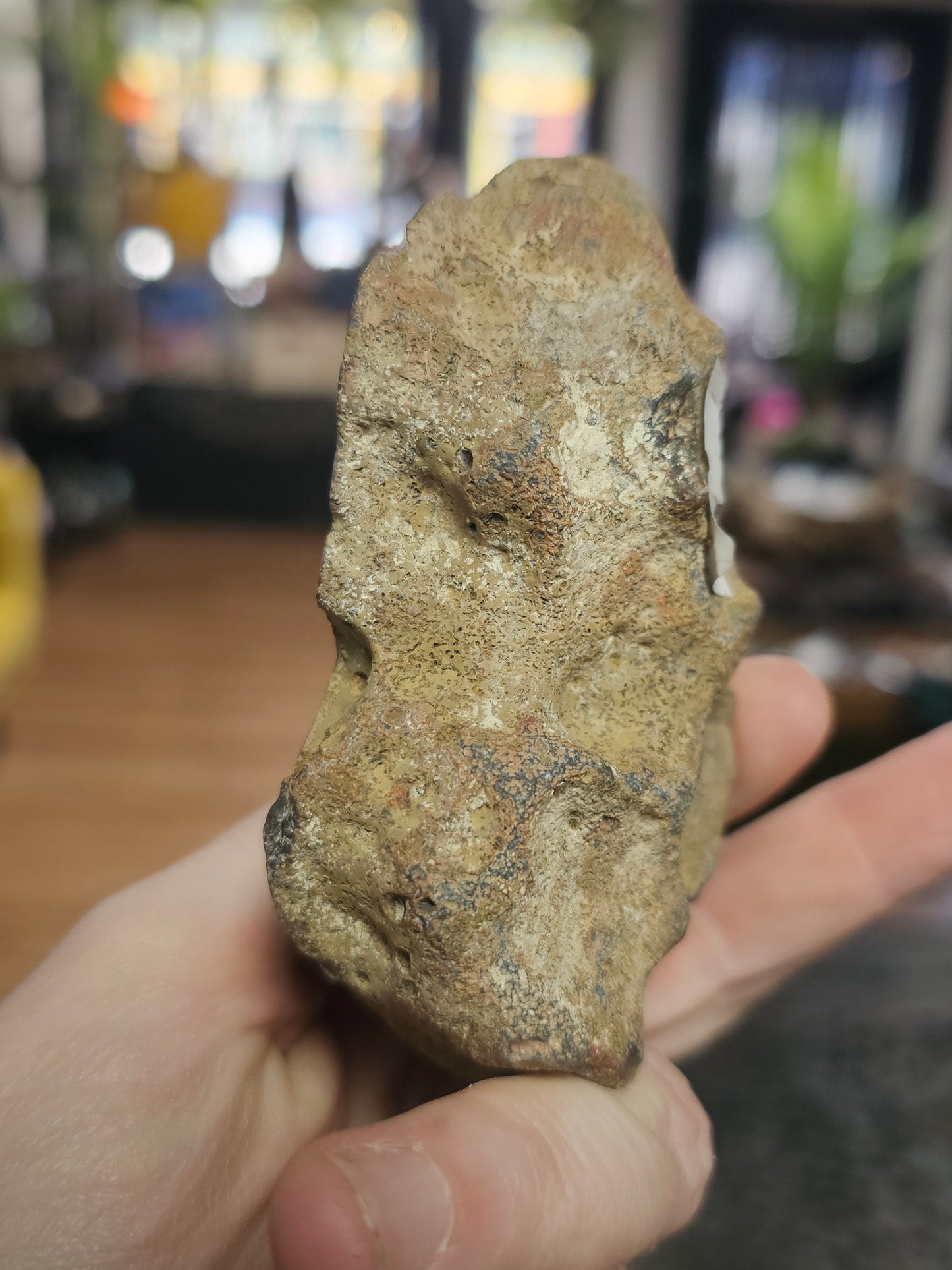 Condor Agate