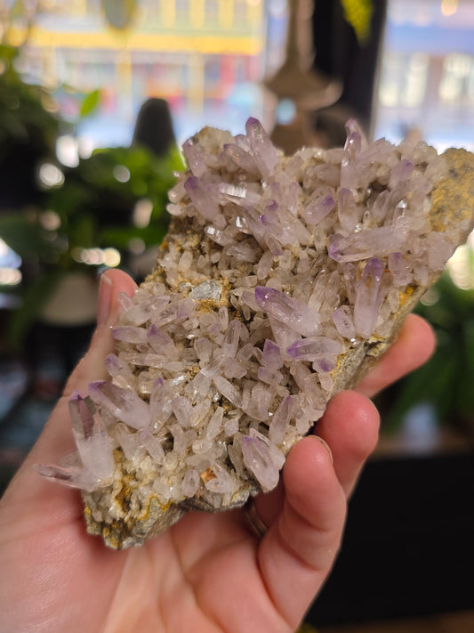 Vera Cruz Amethyst Cluster