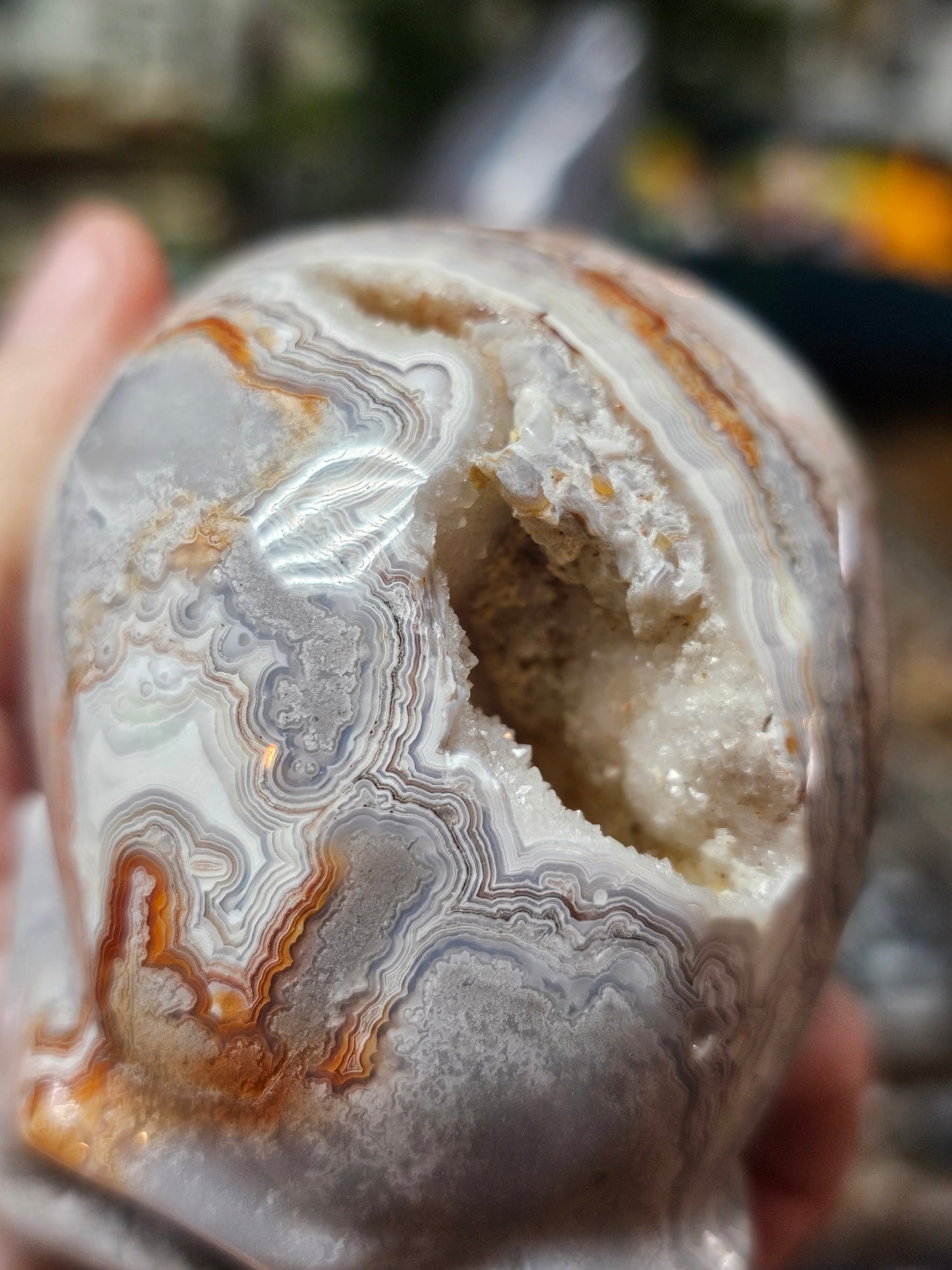 Laguna Lace Agate Skull