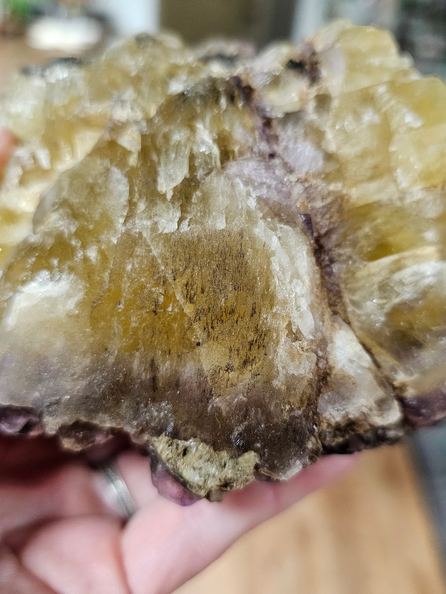 Purple and Yellow  Fluorite