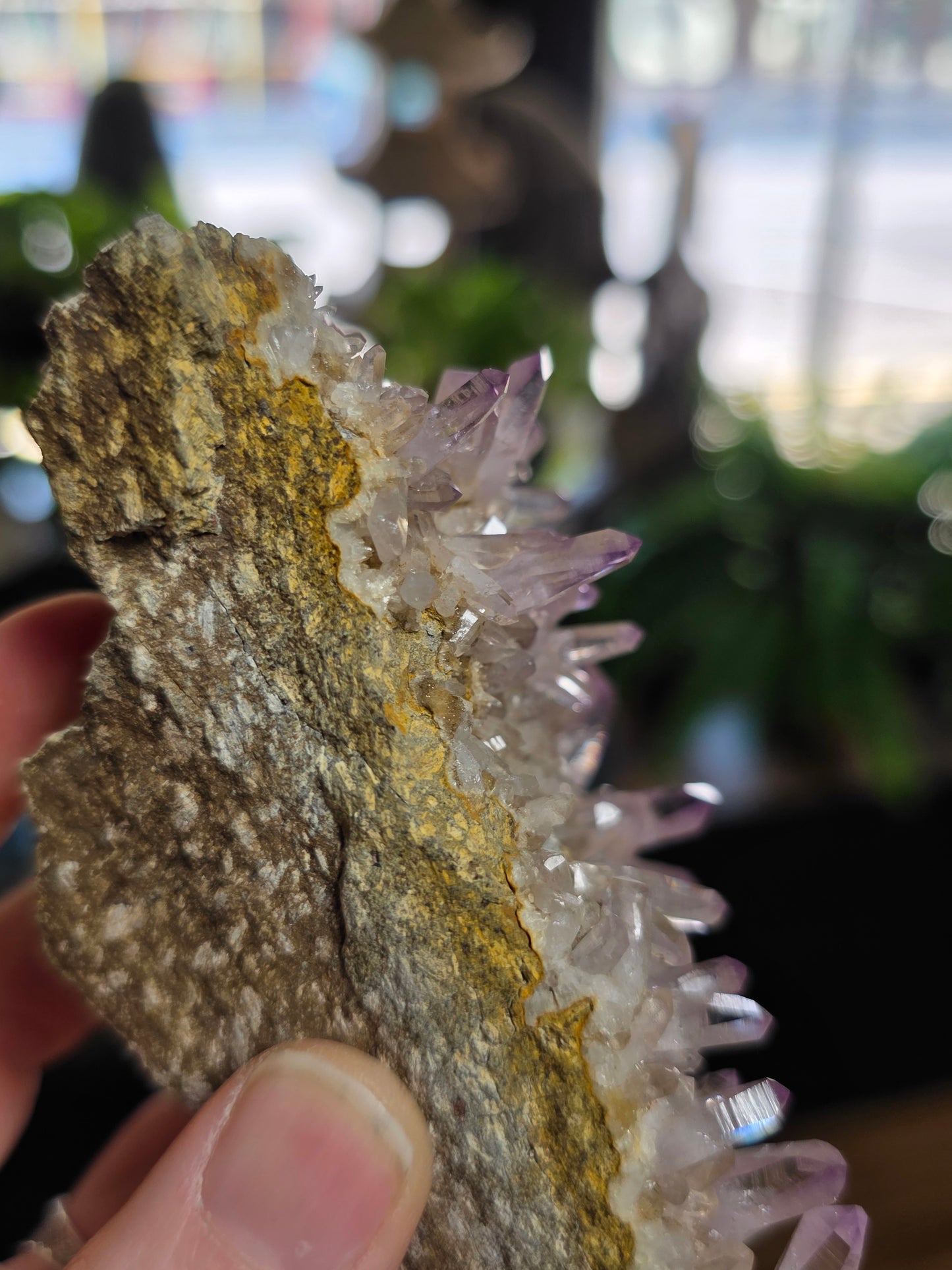 Vera Cruz Amethyst Cluster