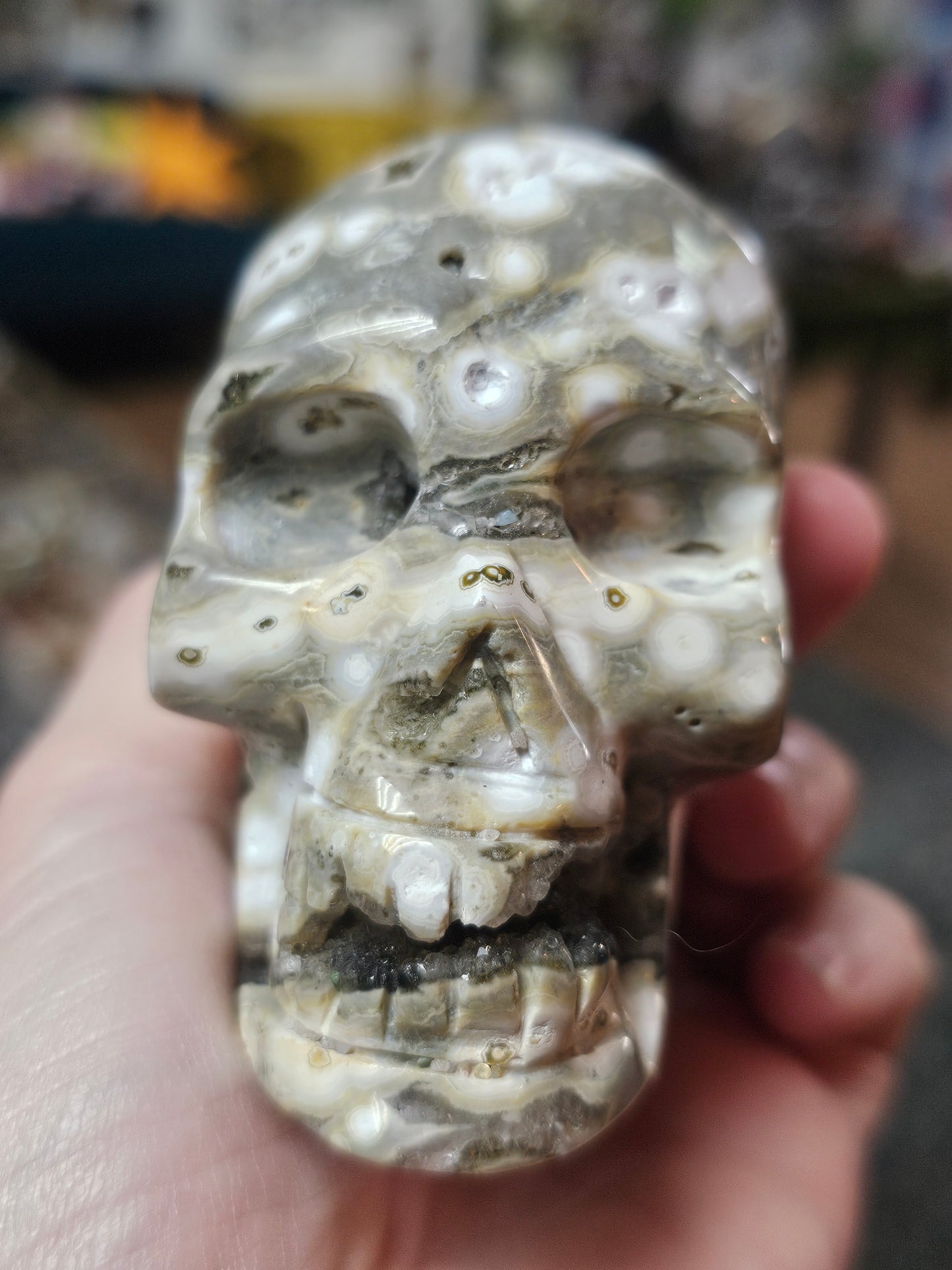 Orbicular Jasper Skull