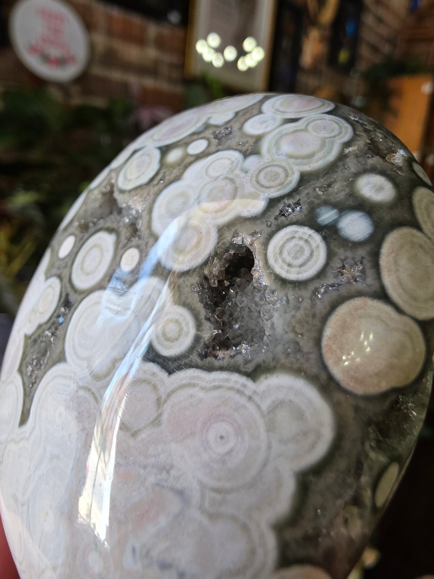 Large Druzy 8th Vein Ocean Jasper Palm Stone