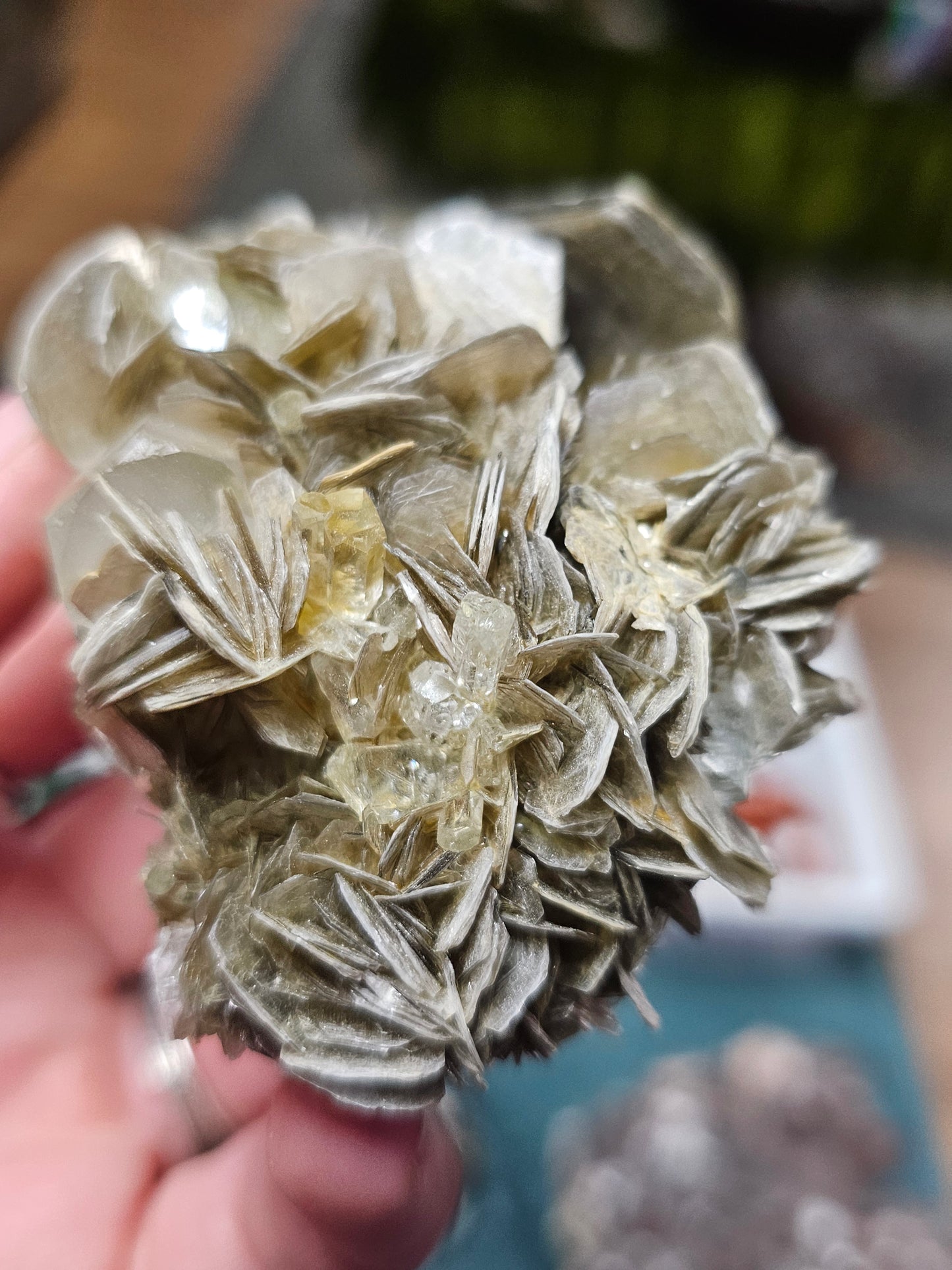Aquamarine on Muscovite