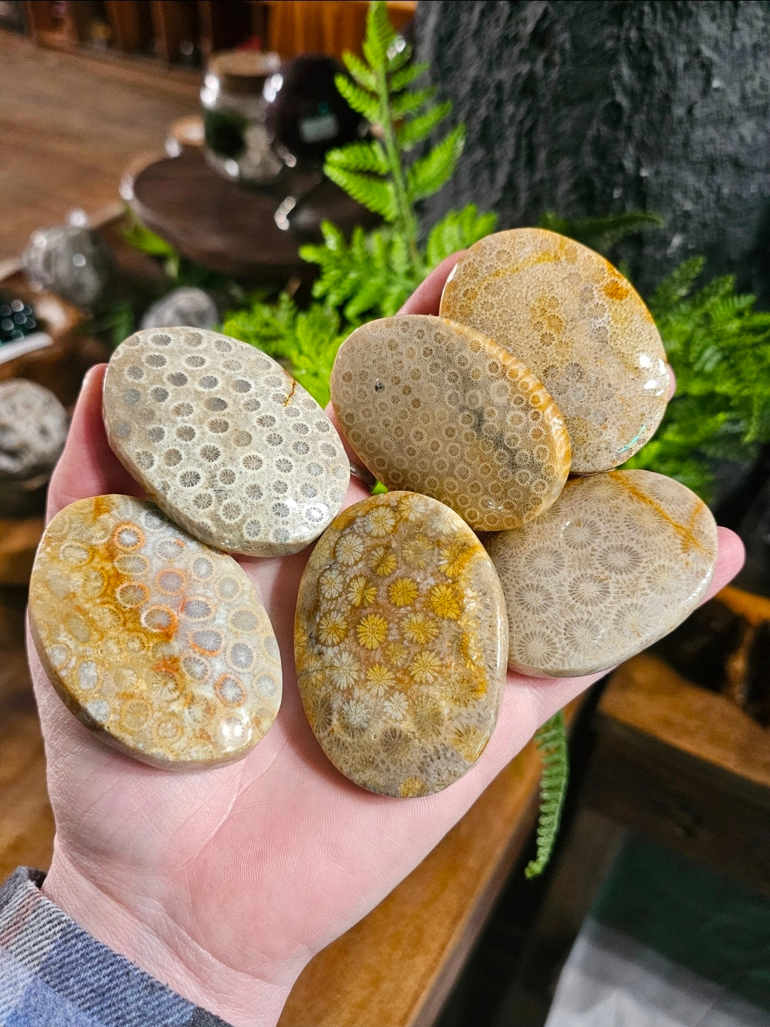 Coral Jade Palmstone