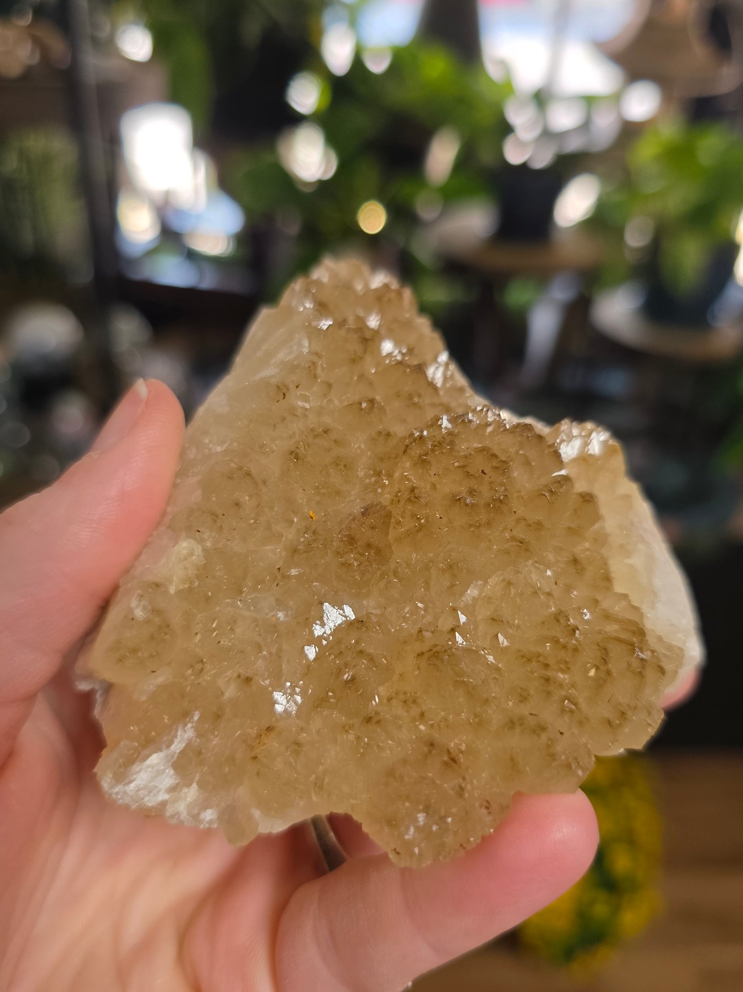 Quartz Cluster