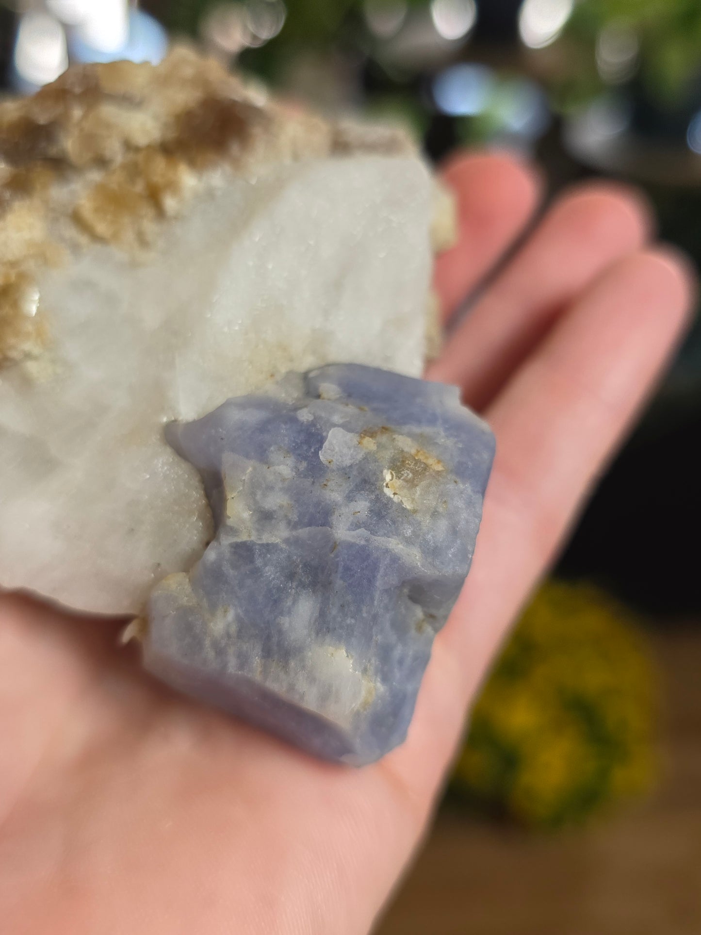 Hackmanite and Golden Mica on Albite