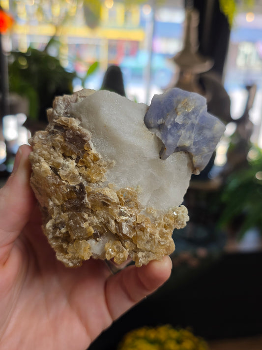 Hackmanite and Golden Mica on Albite
