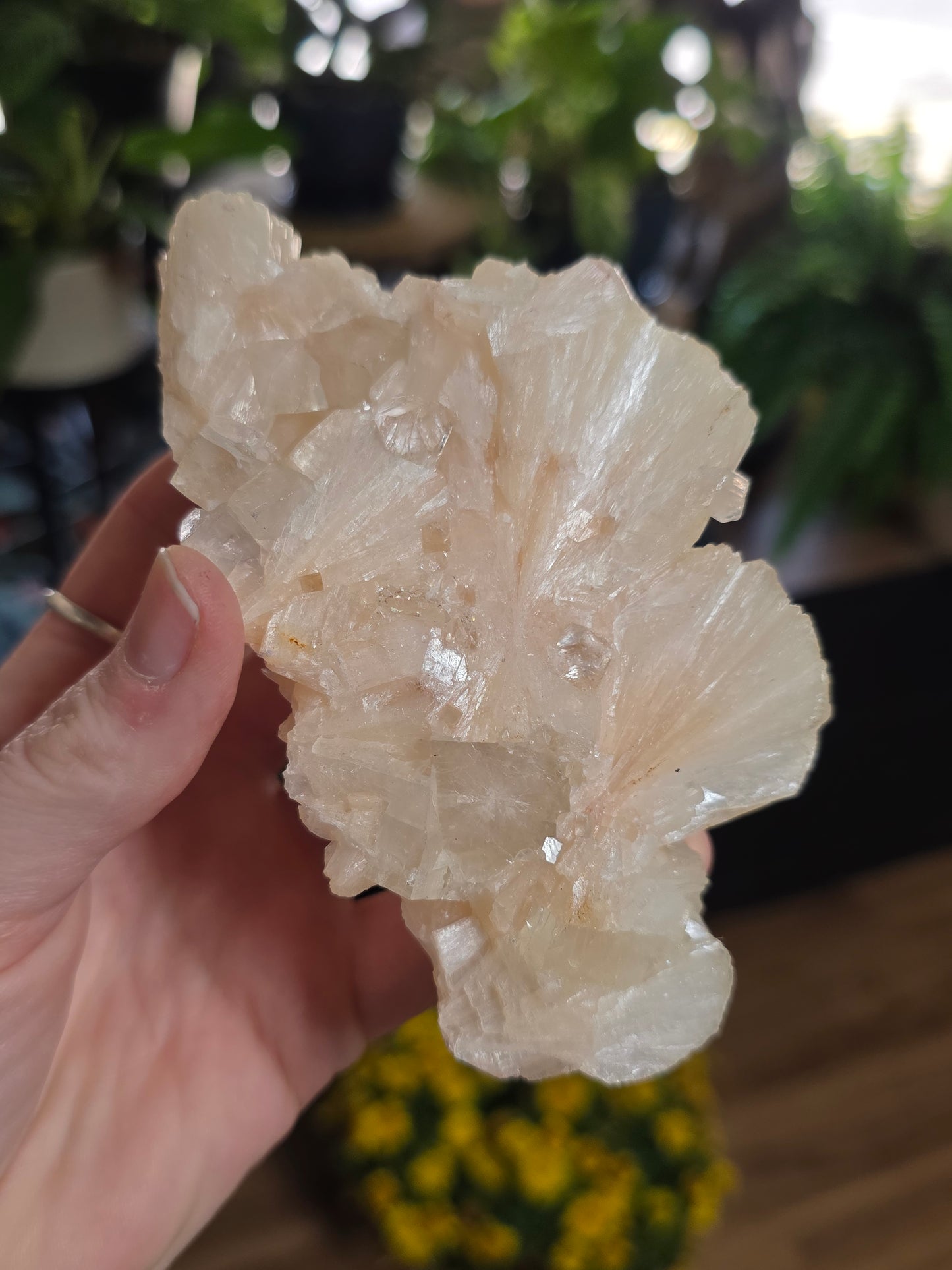Stillbite with Apophyllite