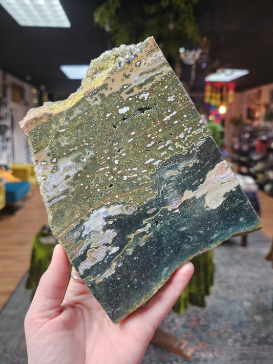 Orbicular Jasper Slab