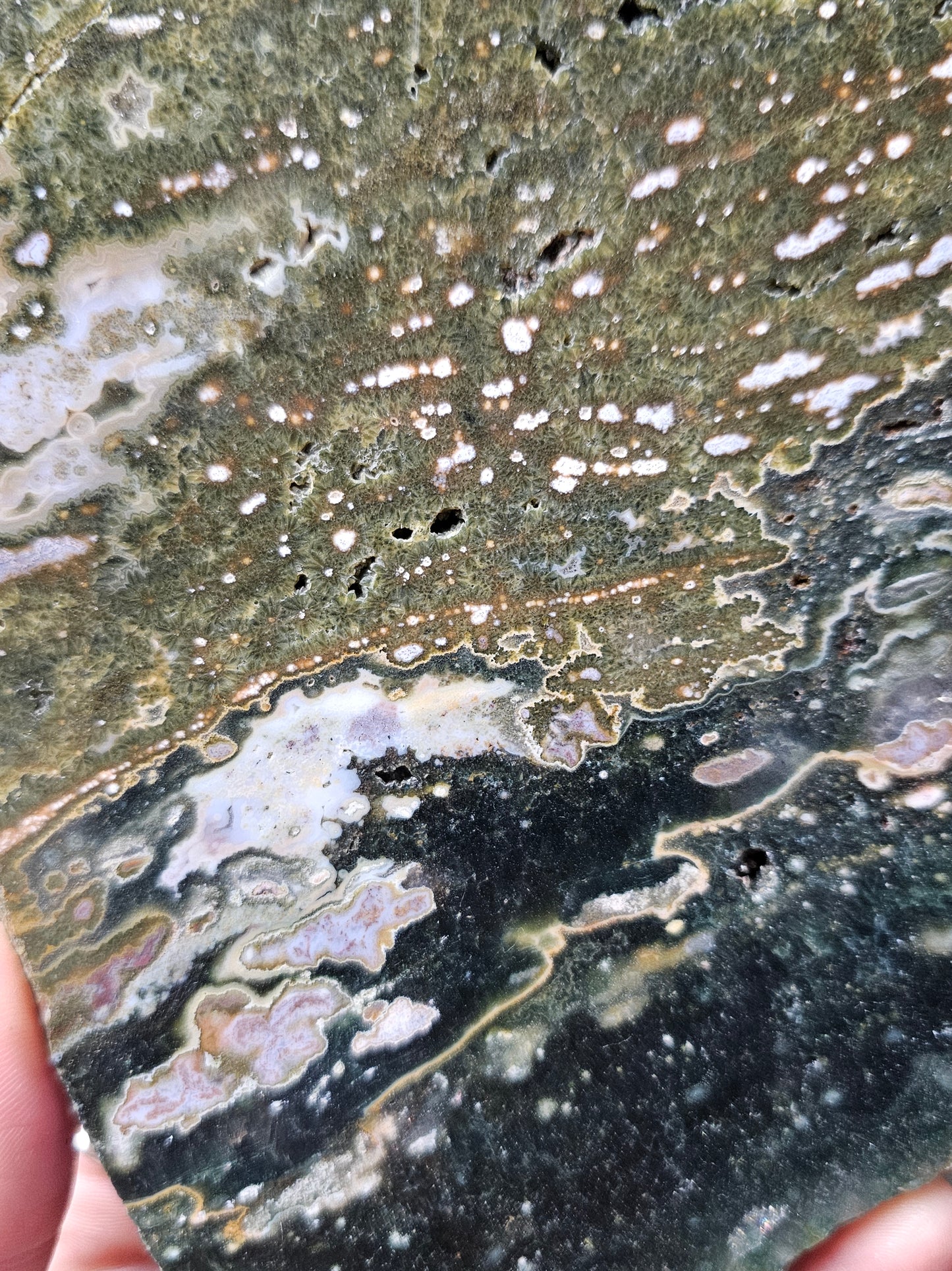 Orbicular Jasper Slab