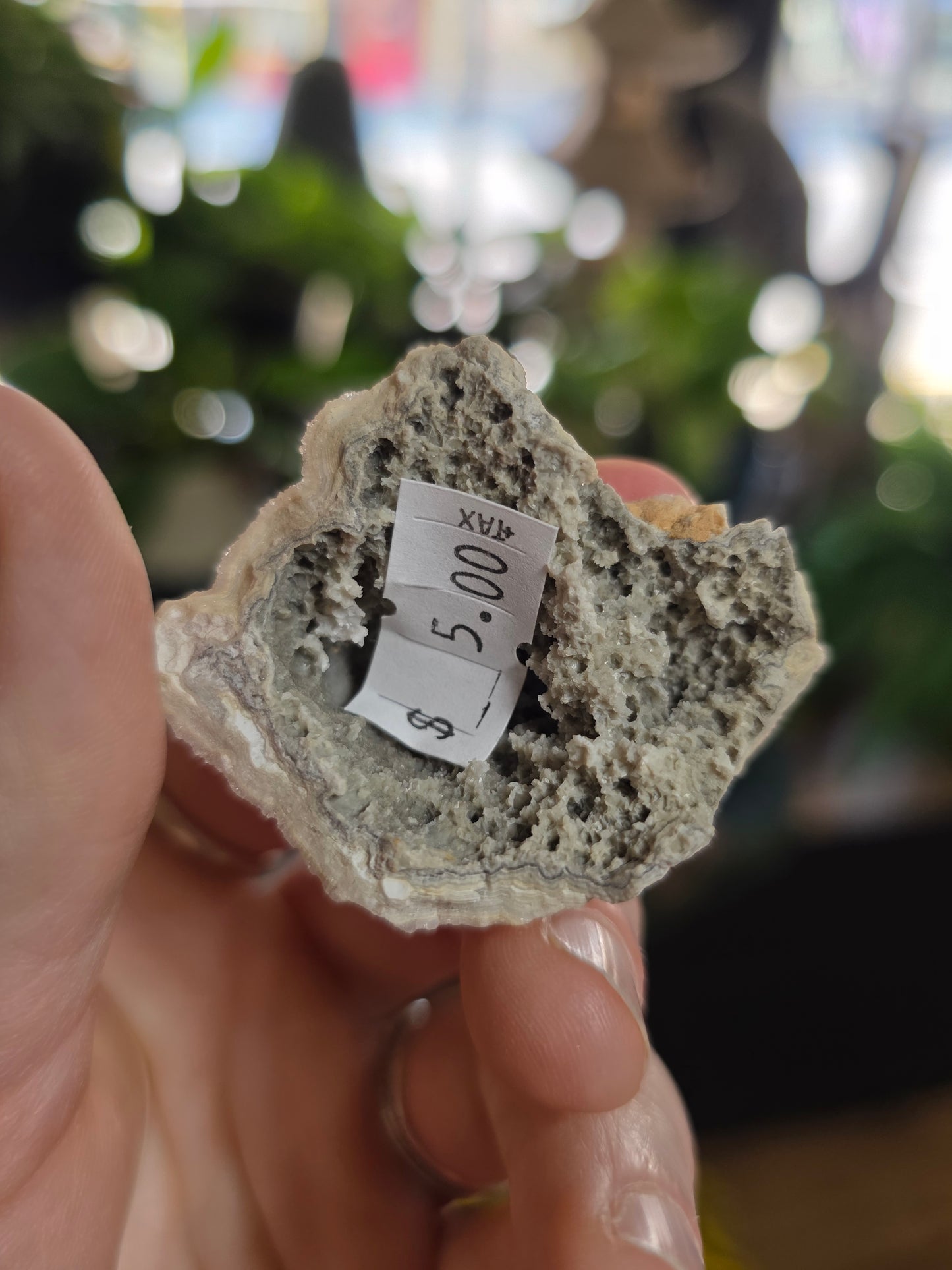 Druzy Lace Agate