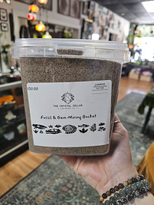 Fossil & Gemstone Bucket