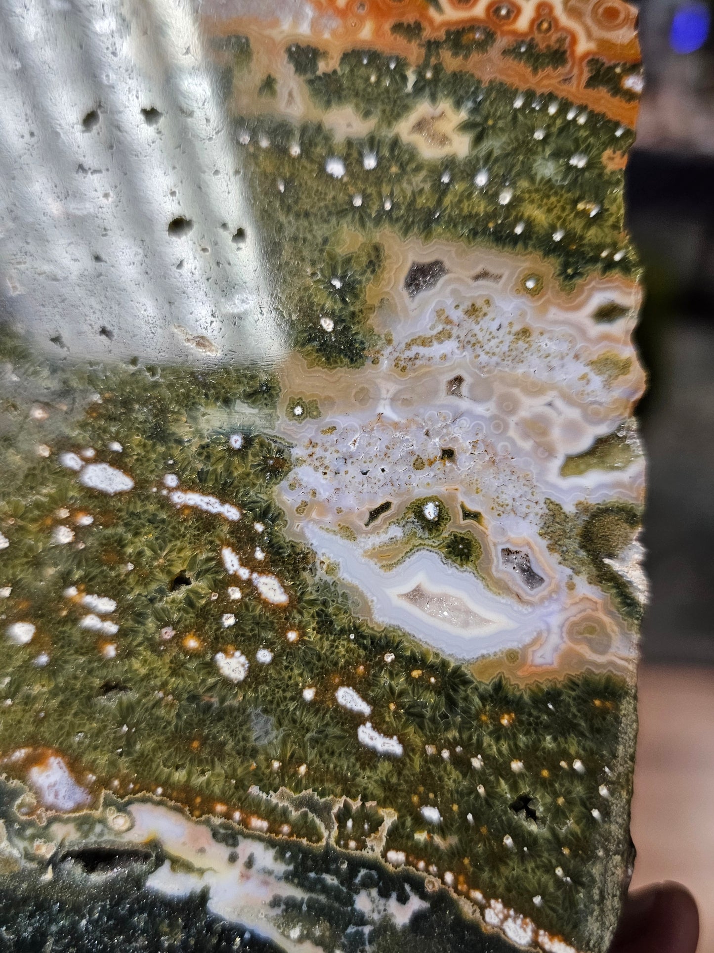 Orbicular Jasper Slab