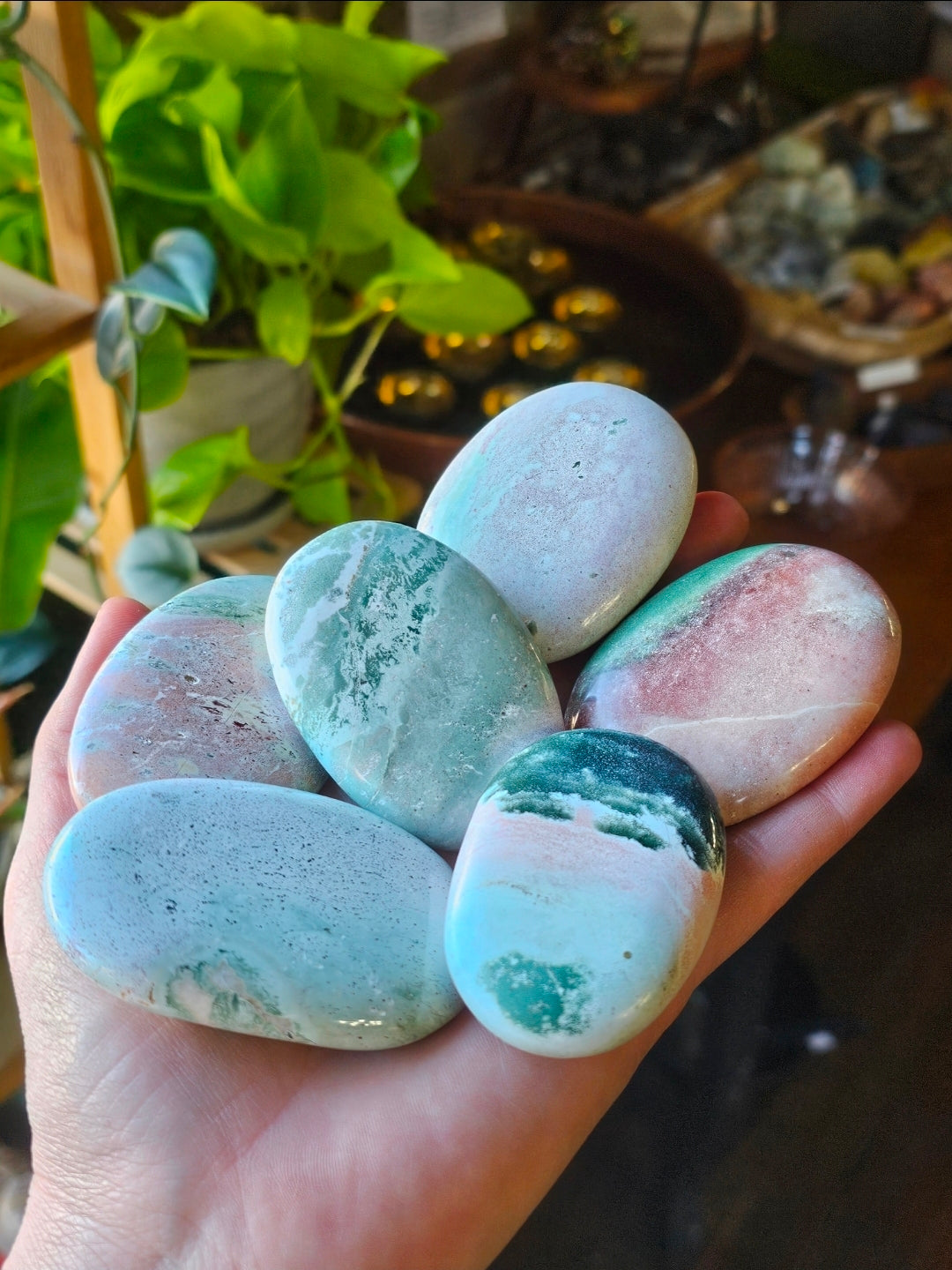 Unicorn Jasper Palm Stone
