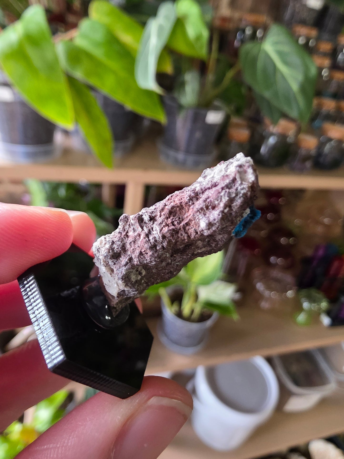 Cavansite On Matrix