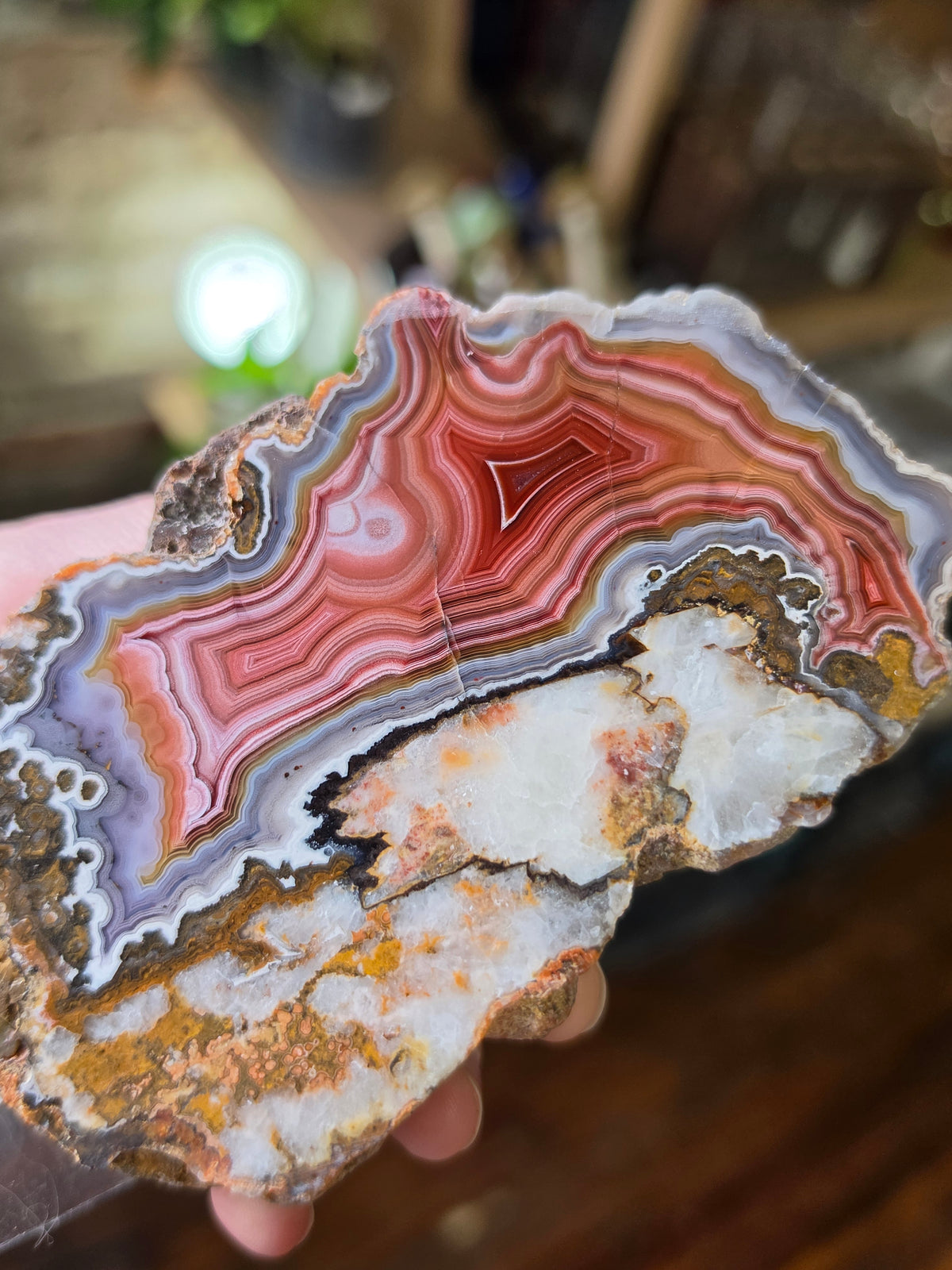 Laguna Agate ( With Parallax)