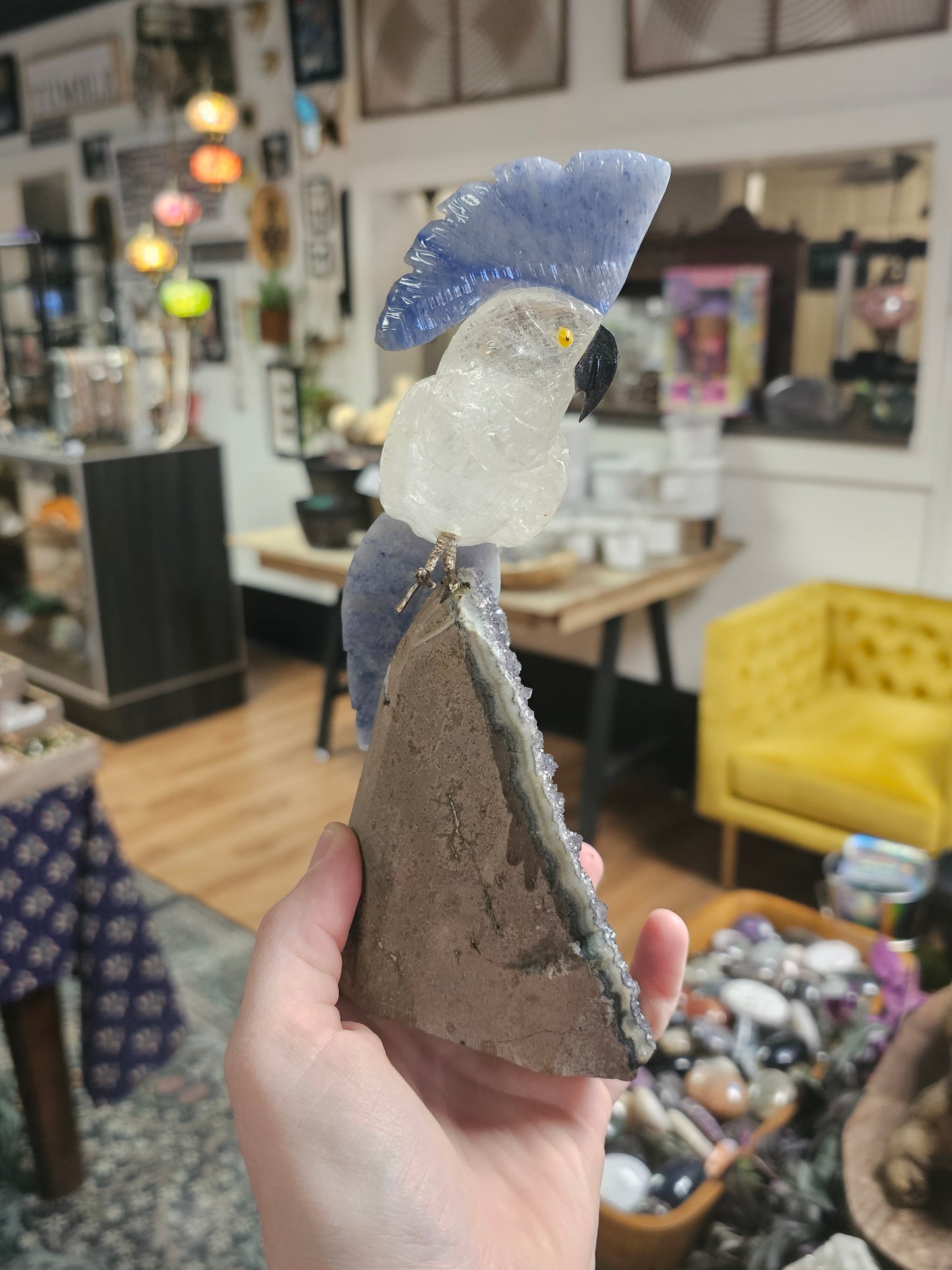 Quartz & Blue Adventurine Cockatoo Carving On Black Amethyst Cut Base Freeform