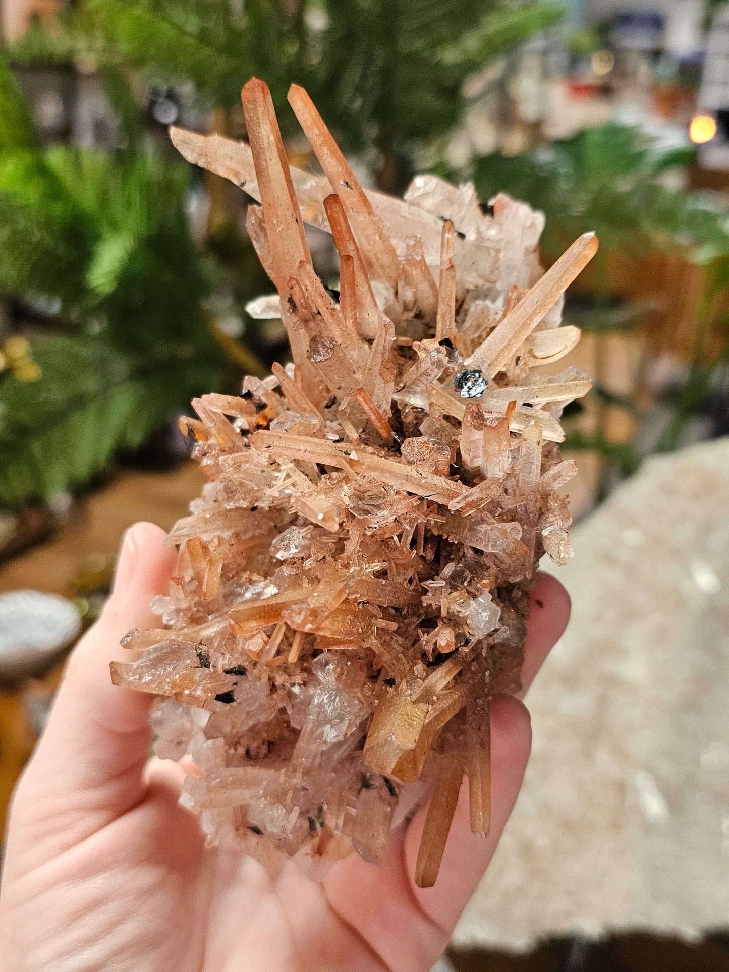 Specular Hematite on Quartz