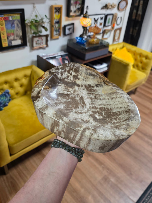 Petrified Wood Bowl