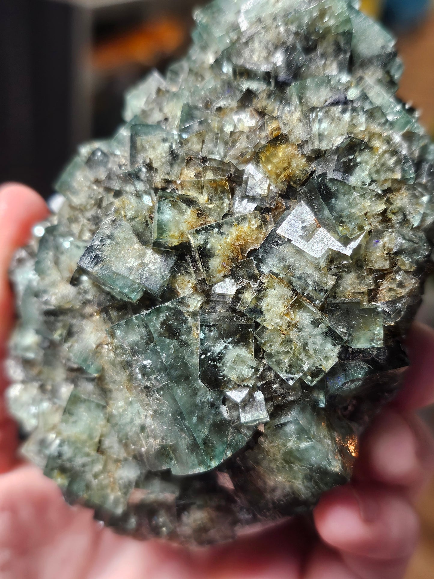 Diana Maria Fluorite ( Hidden Forest Pocket)