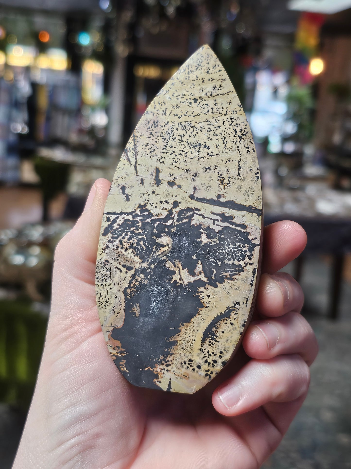 Dendritic Jasper Freeform