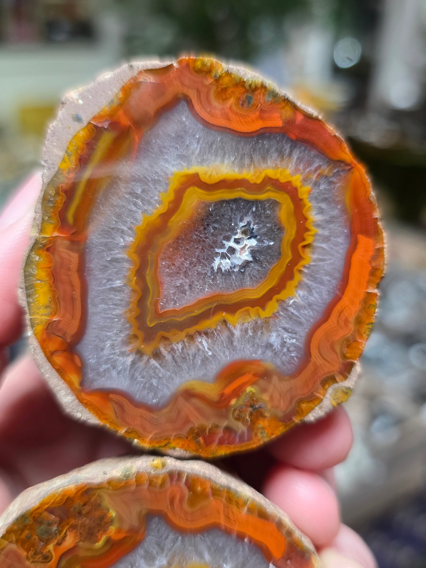 Fighting Blood Agate Pair