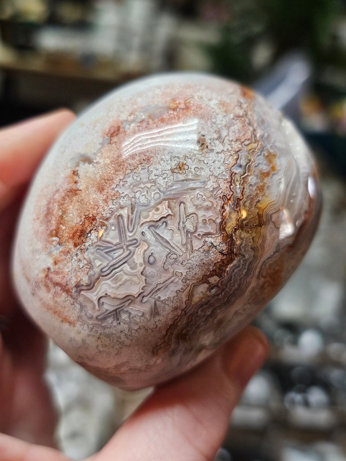 Laguna Lace Agate Skull