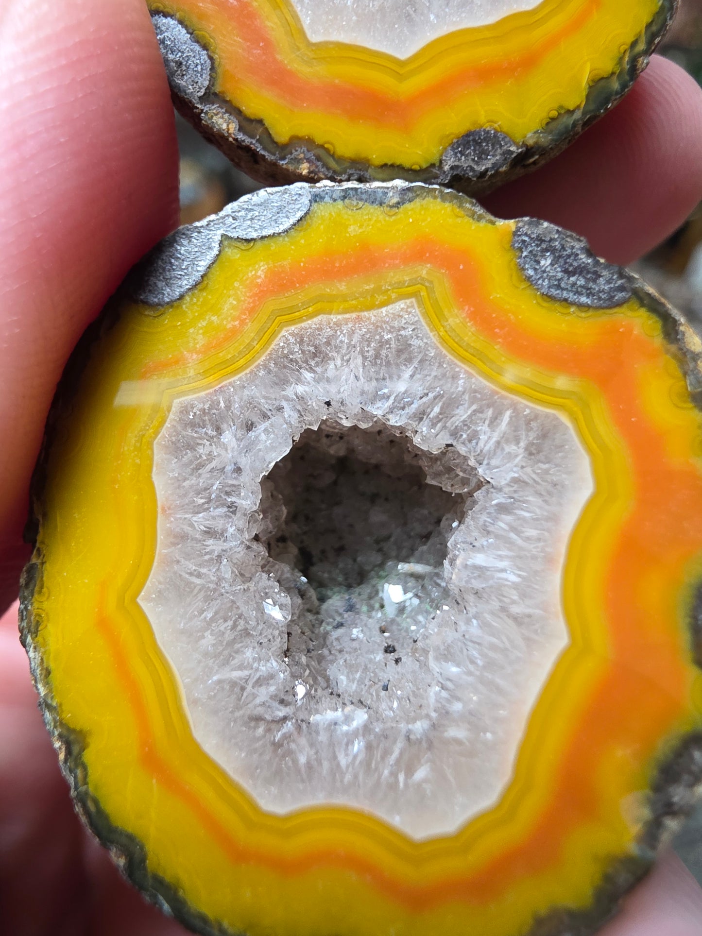 Fighting Blood  Agate