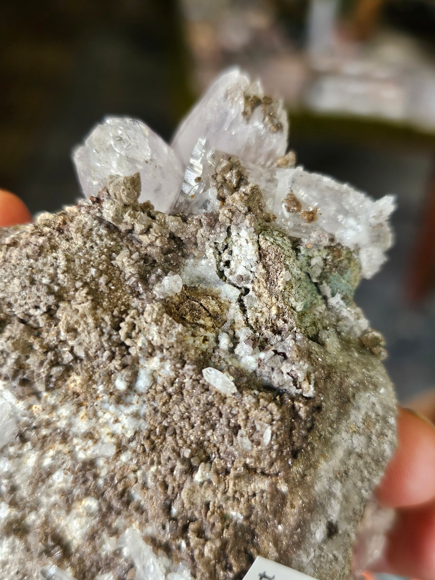 Vera Cruz Amethyst