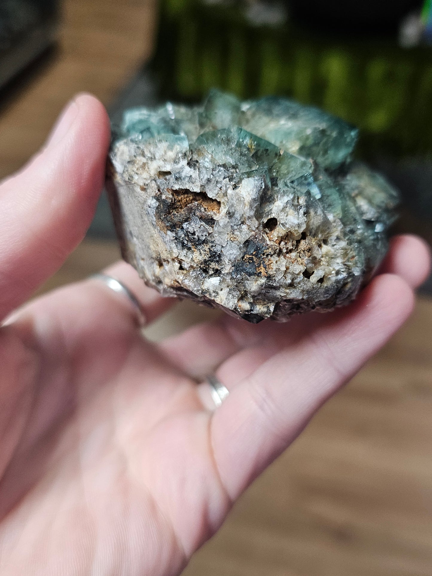 Diana Maria Fluorite ( Hidden Forest Pocket)