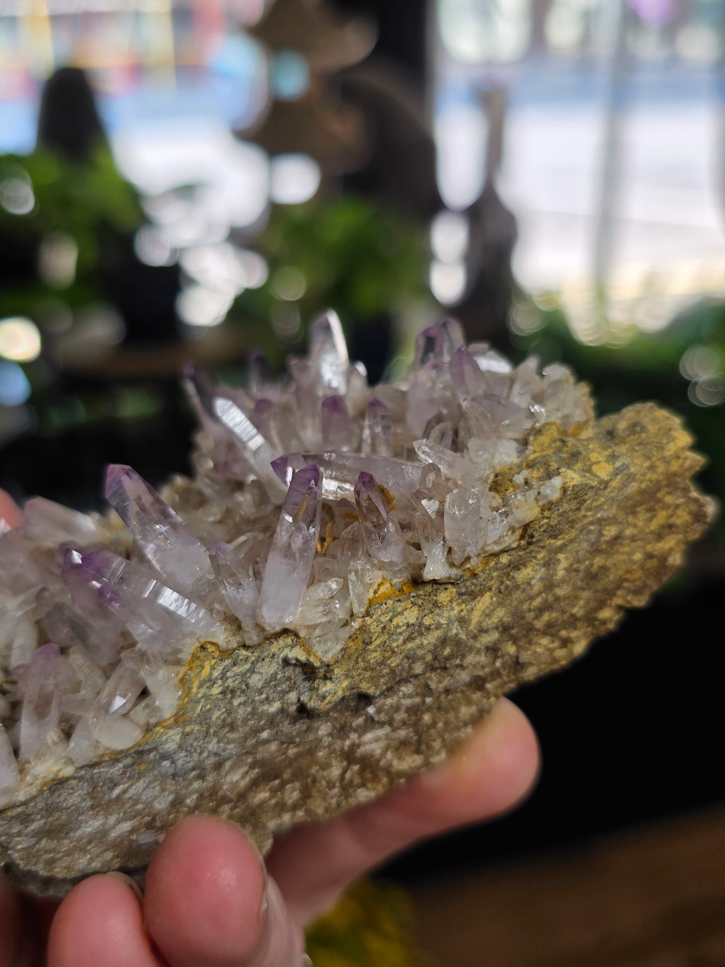 Vera Cruz Amethyst Cluster
