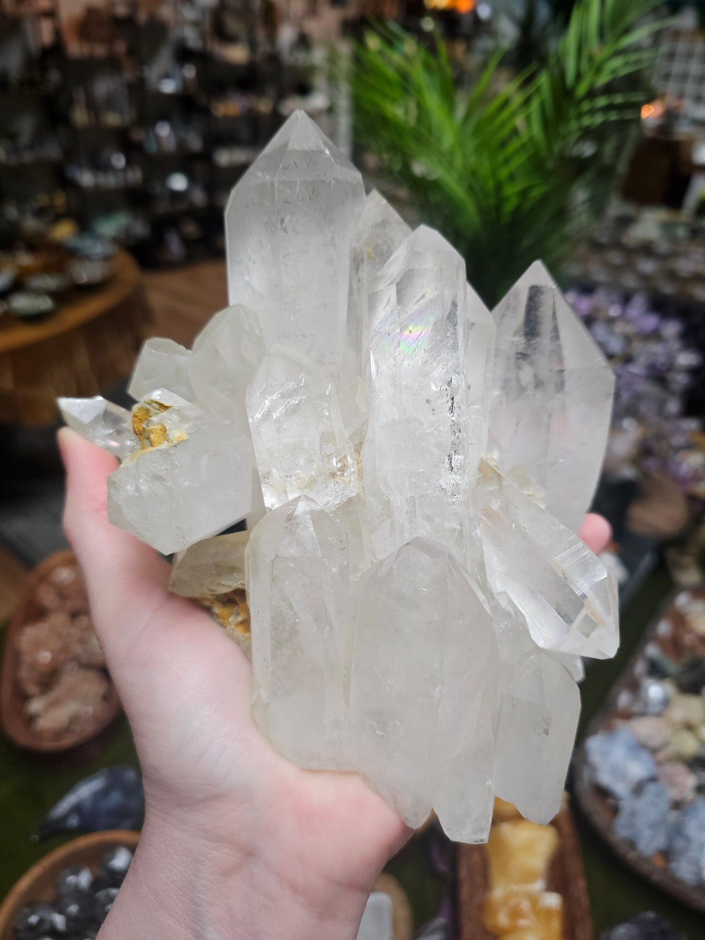 *Raffle Item* Pakistan Quartz Cluster